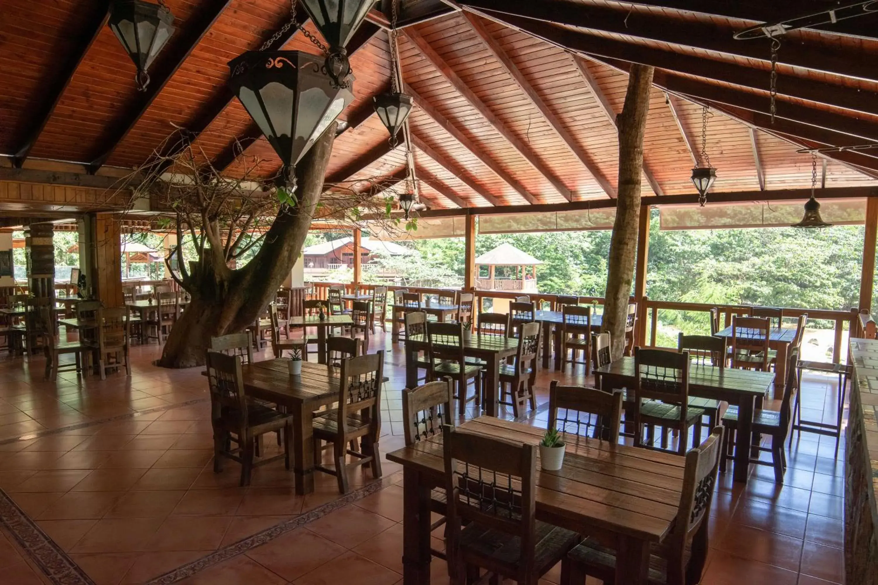 Restaurant/Places to Eat in Hotel Gran Jimenoa