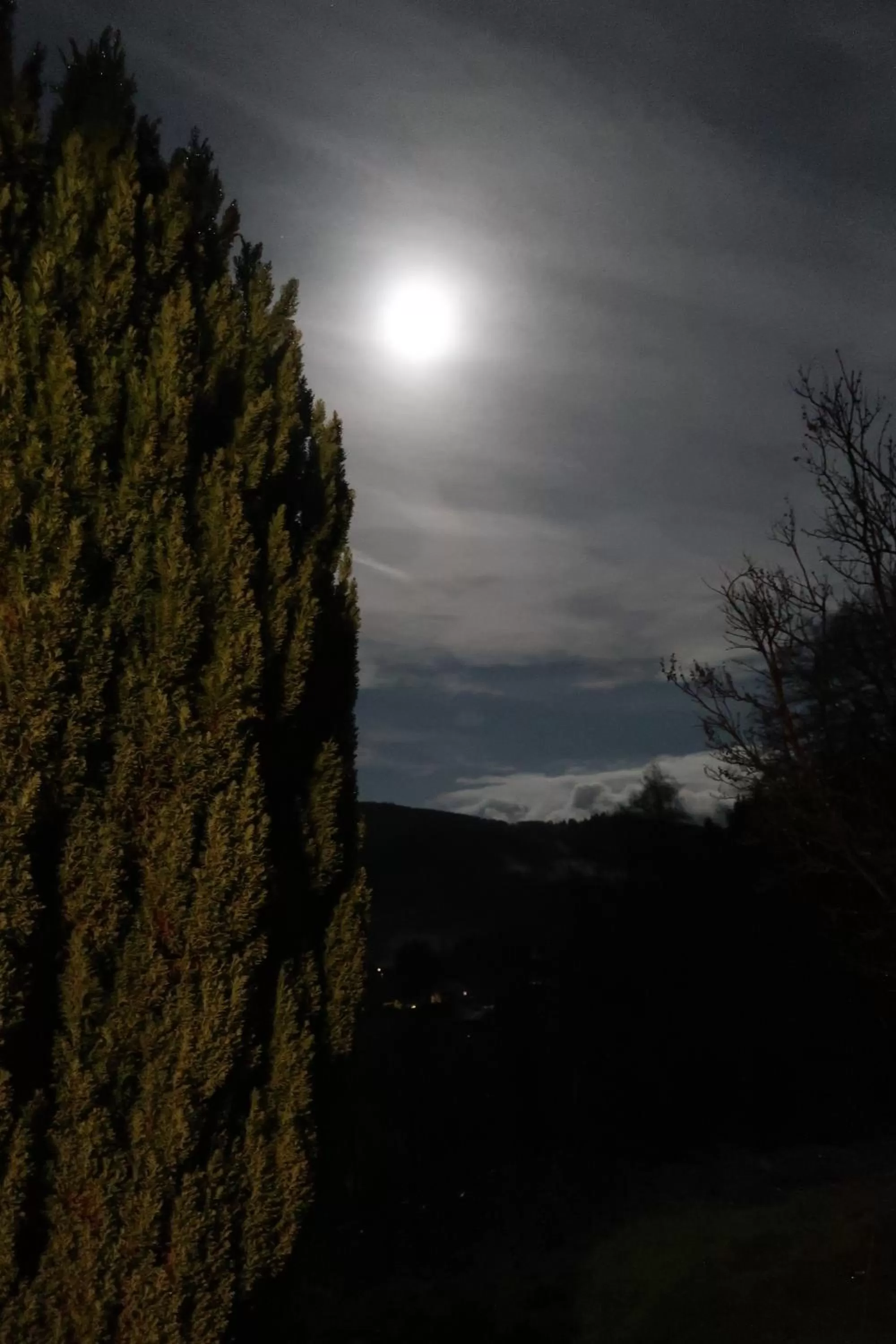 On site in chambres d'hôtes le Chêne