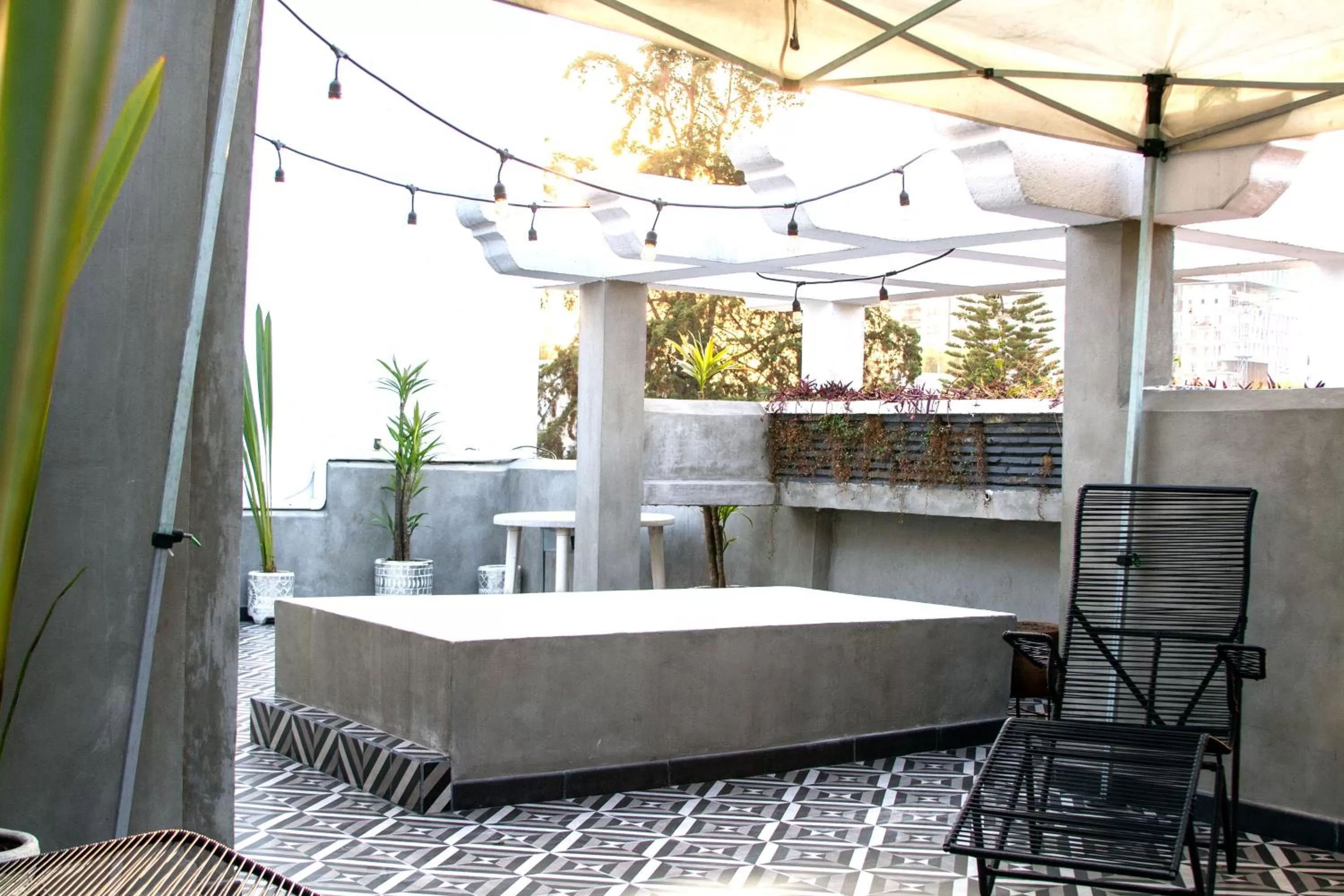 Balcony/Terrace in Condesa Haus B&B