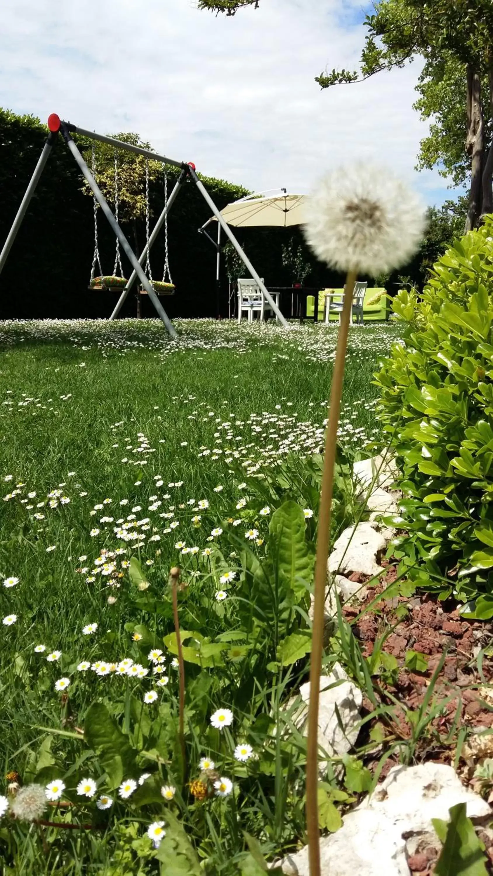 Garden in La Casa di Linda