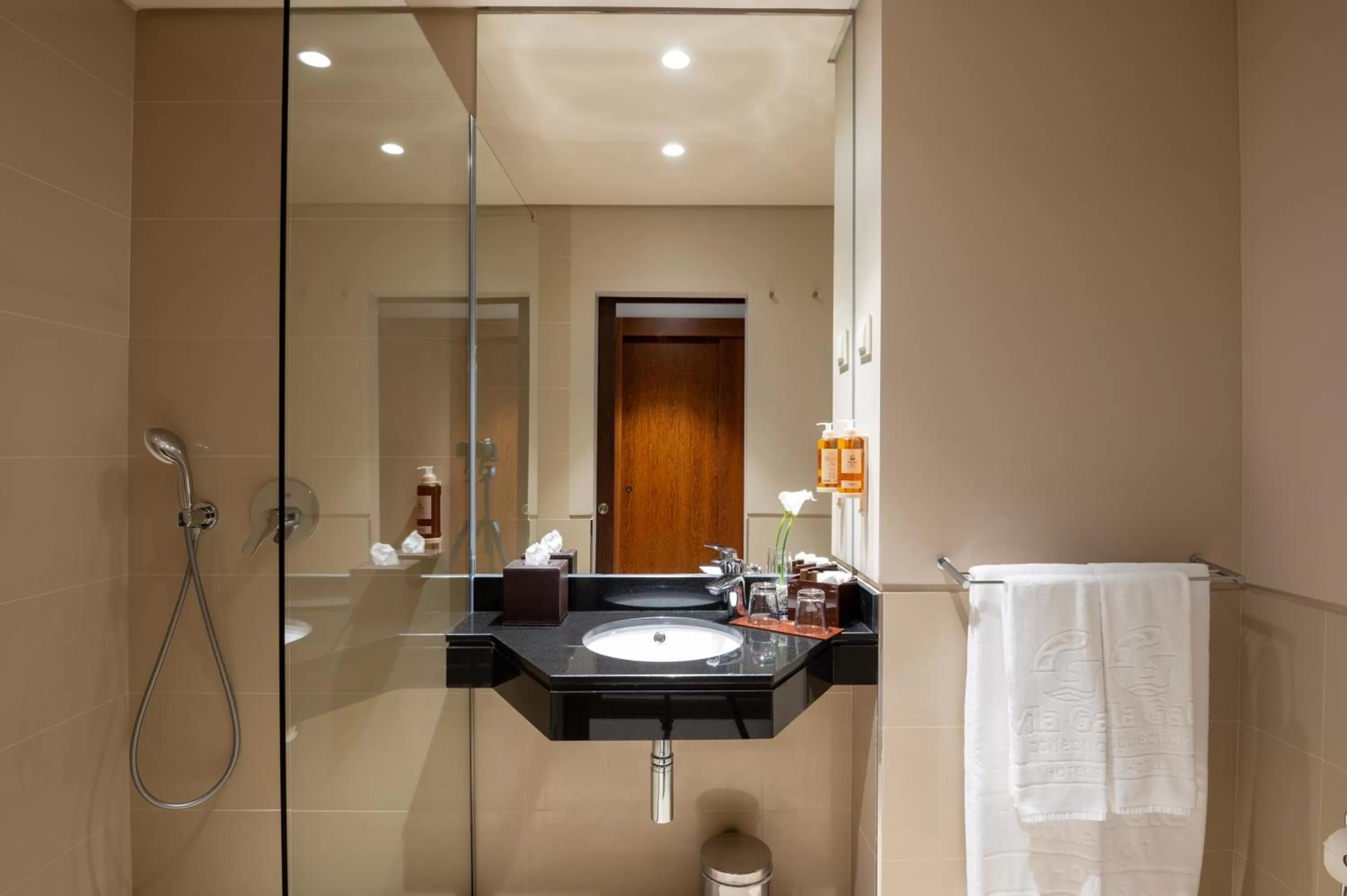 Shower in Vila Gale Collection Tomar