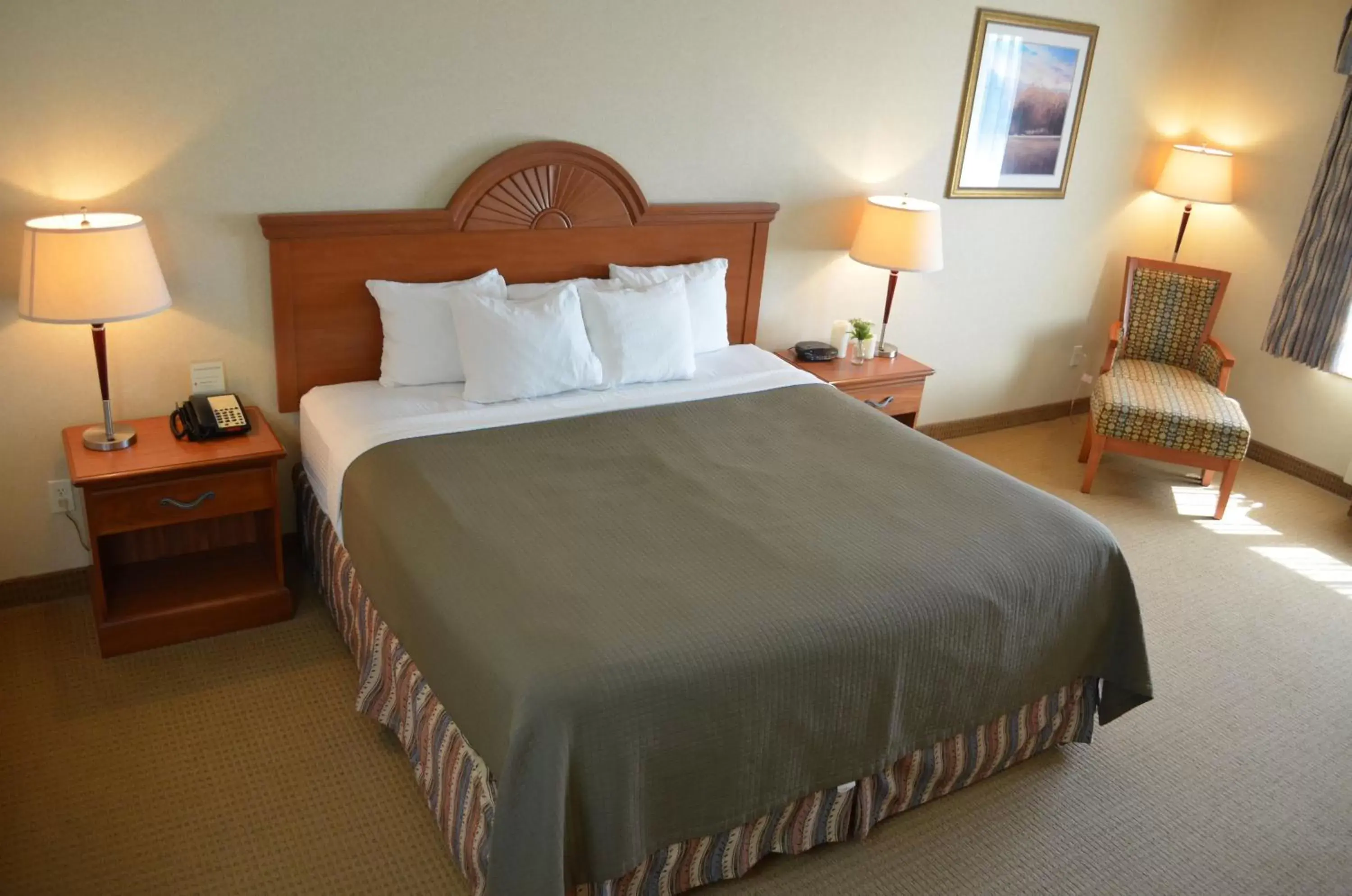 King Room - single occupancy in Red Coach Inn & Suites