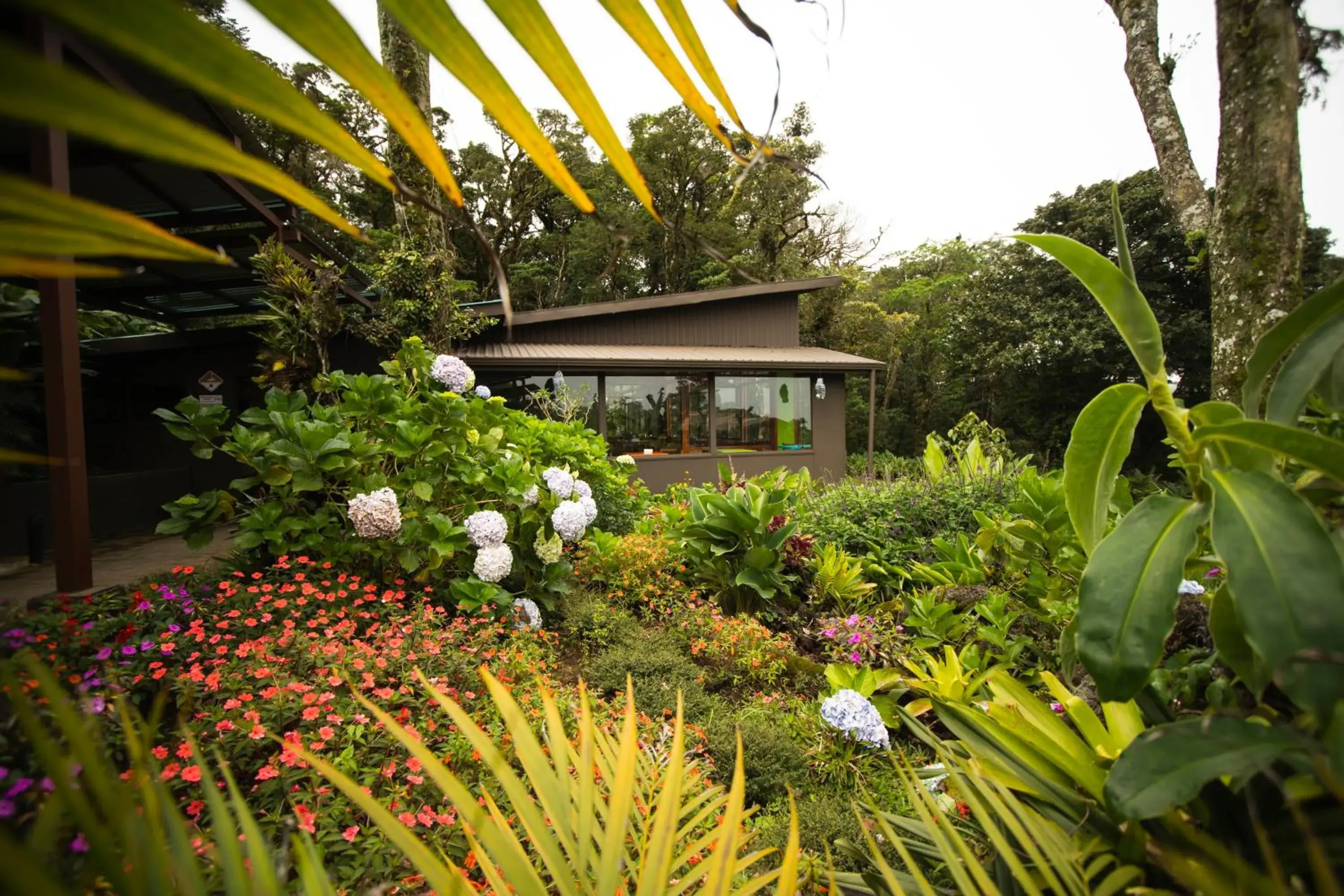 Garden, Property Building in Trapp Family Lodge Monteverde