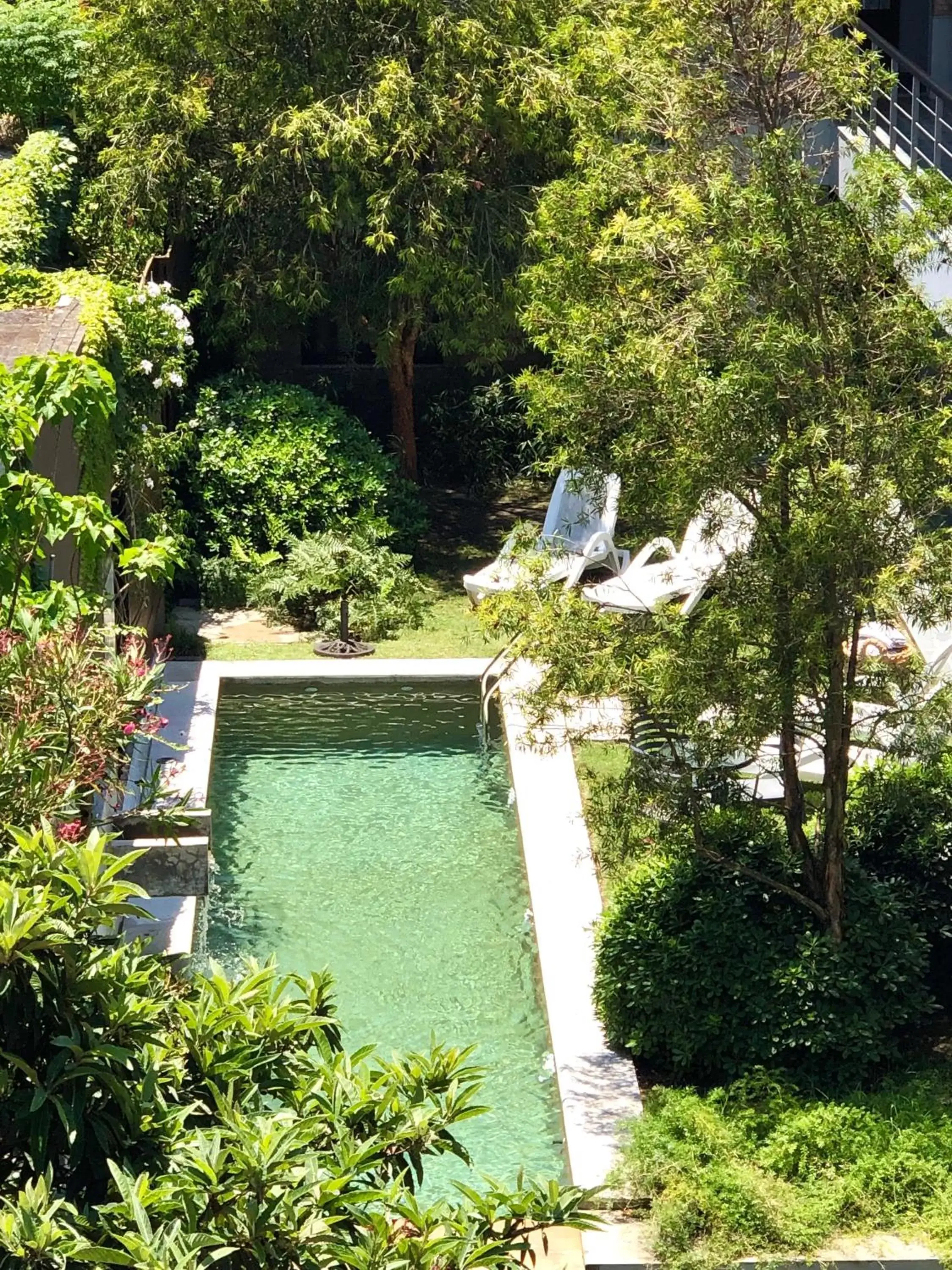 Garden, Pool View in Posada Boutique Las Terrazas