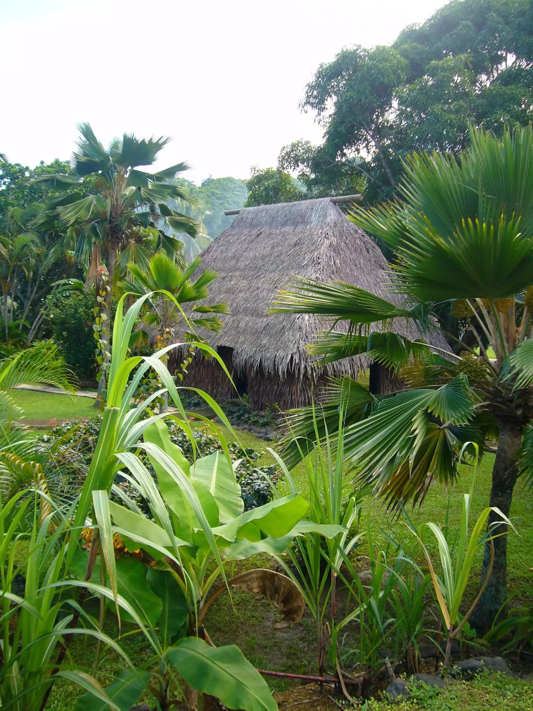 Garden, Swimming Pool in Gecko's Resort