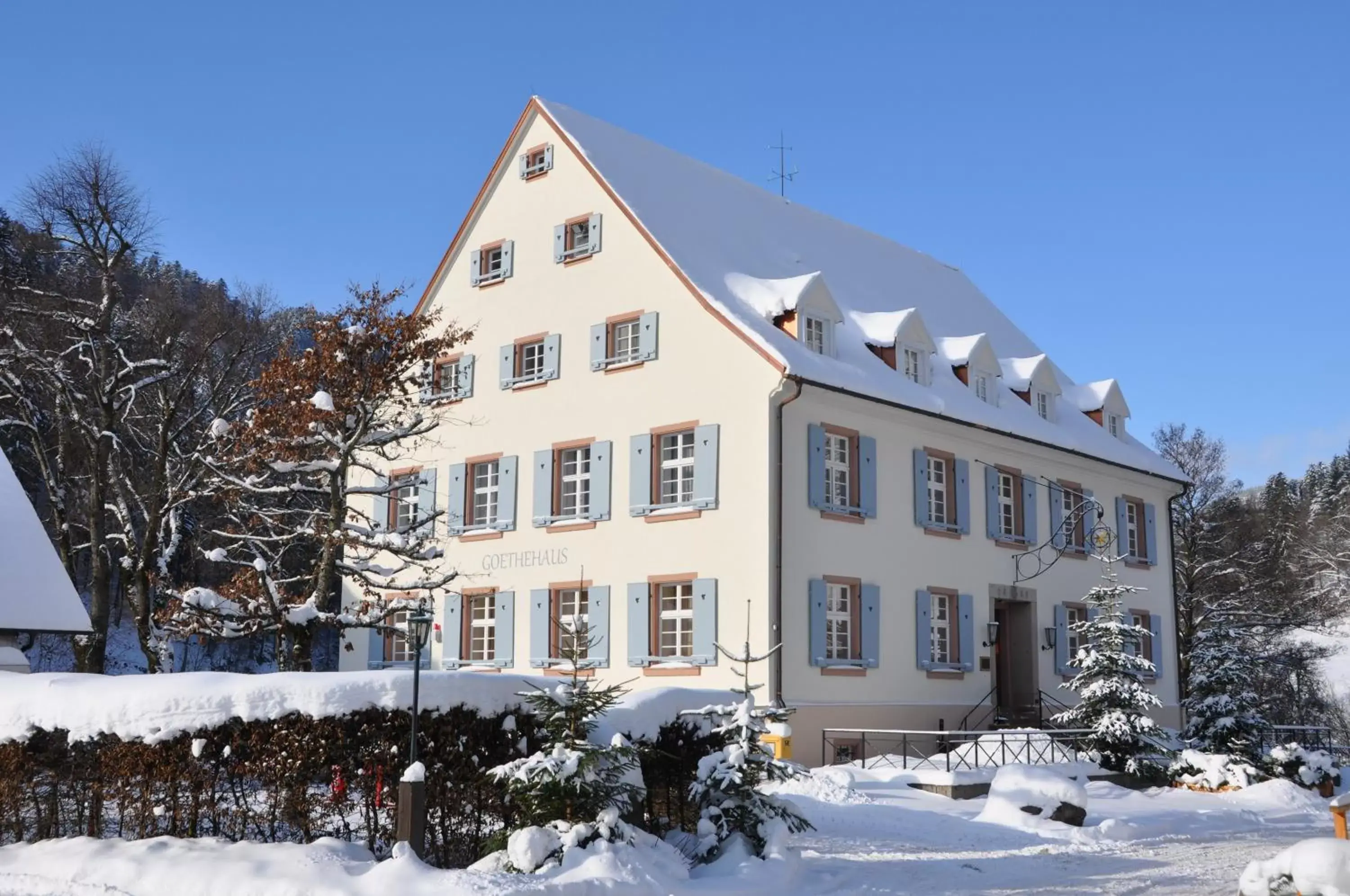 View (from property/room), Winter in Hotel Hofgut Sternen