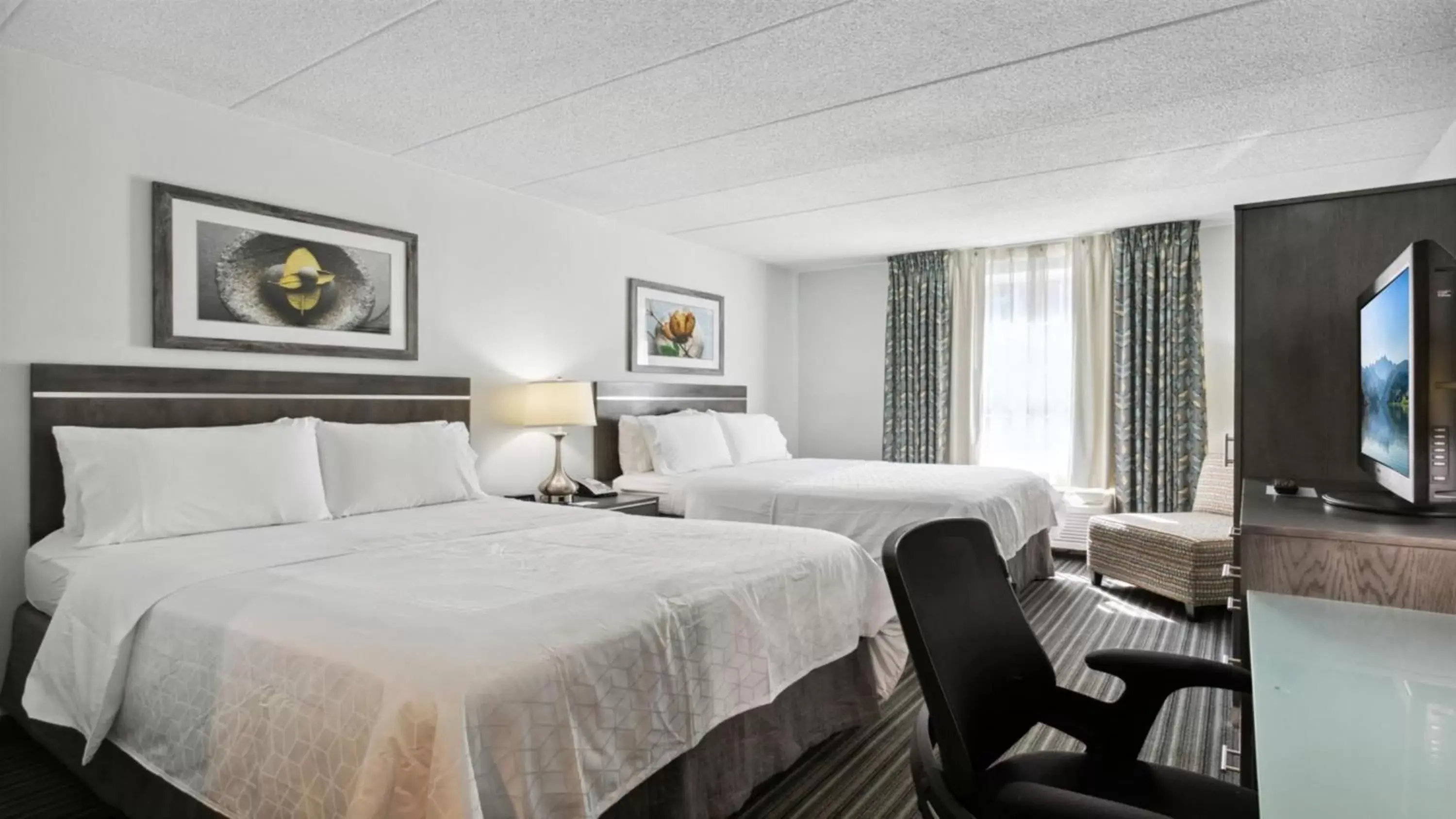 Photo of the whole room, Bed in Holiday Inn Express Williamsburg North, an IHG Hotel