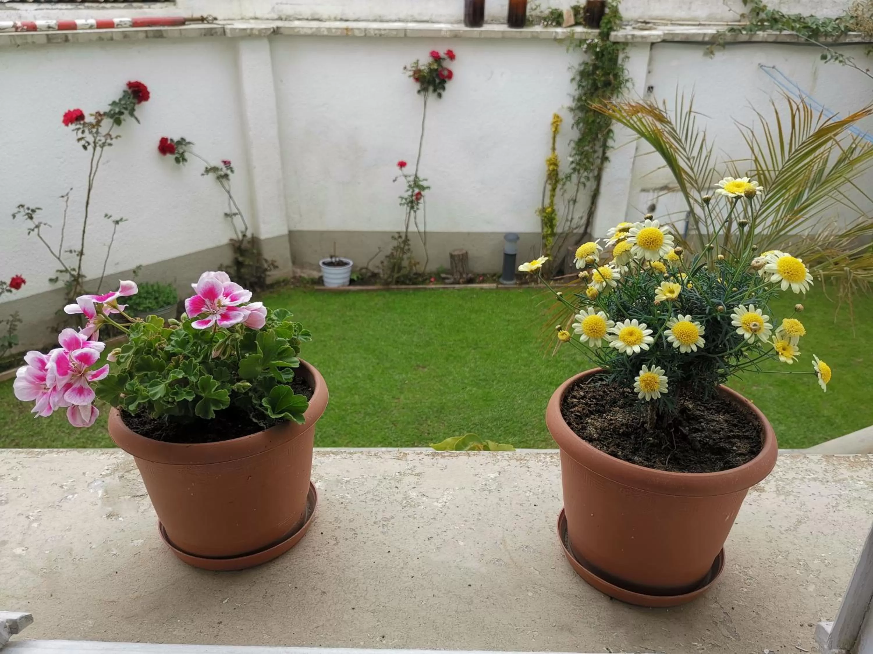 Inner courtyard view in Casa Fusion Hotel Boutique