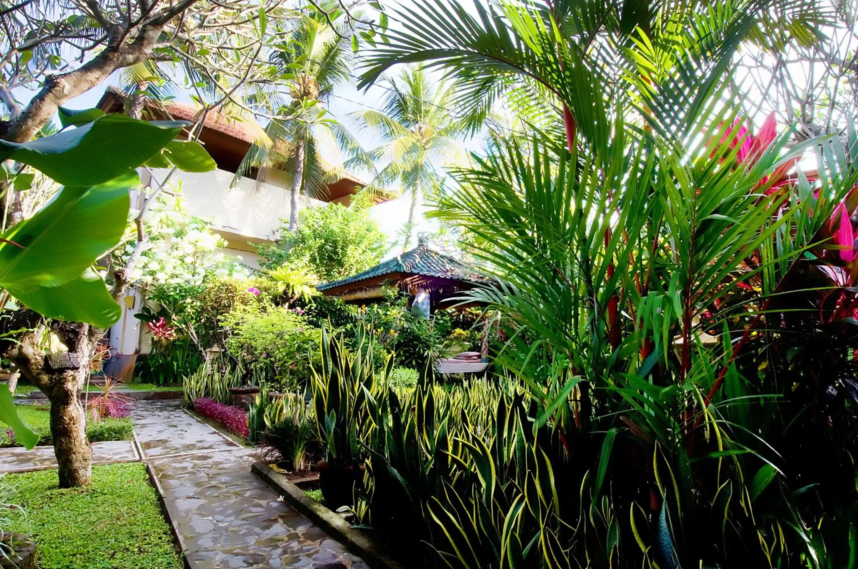 Garden in Kusnadi Hotel