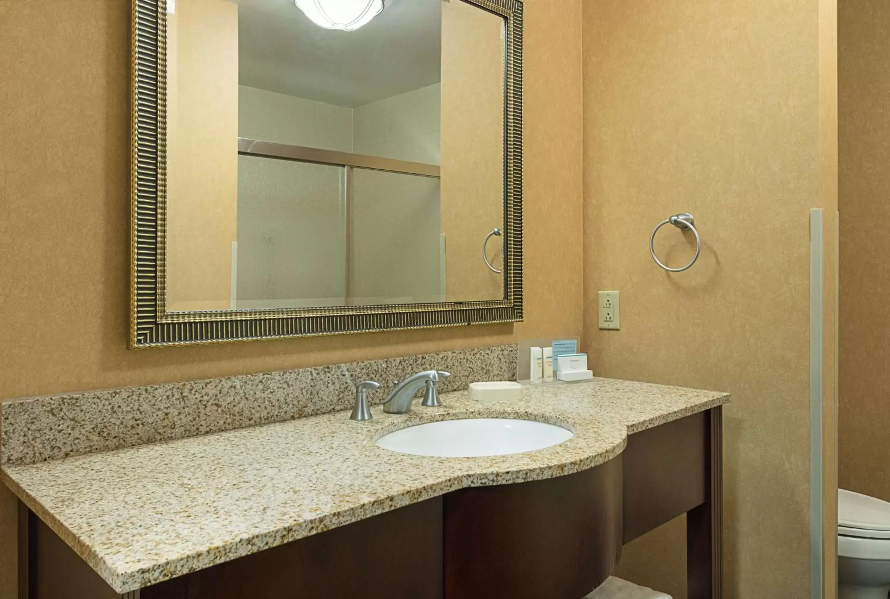 Bathroom in Hampton Inn and Suites Indianapolis/Brownsburg