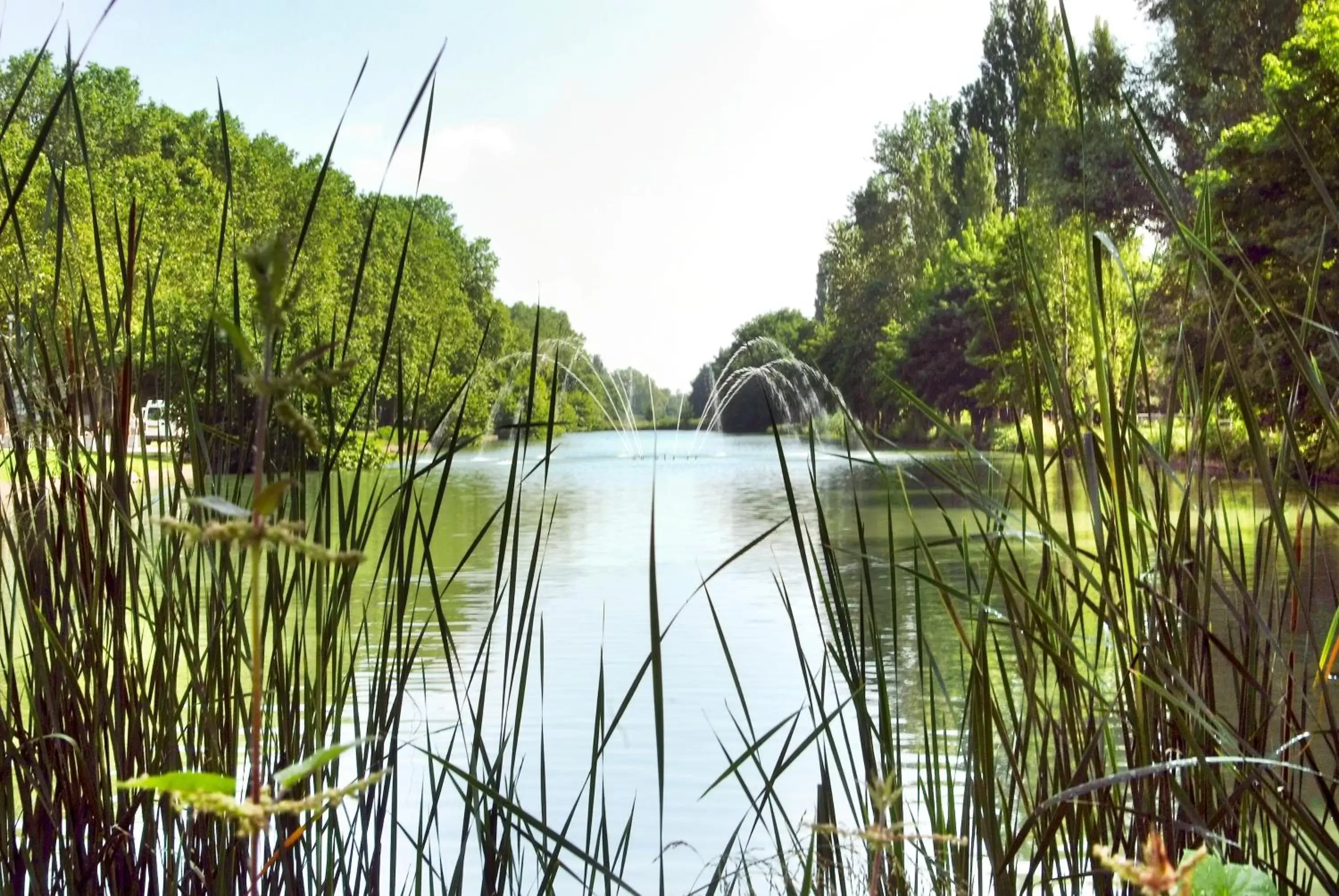 Natural landscape in ibis Mulhouse Centre Filature