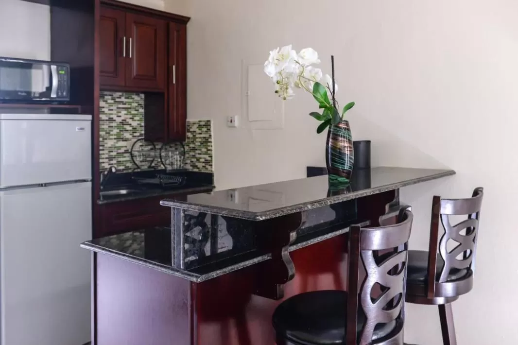 Kitchen/Kitchenette in Beach Studio 10