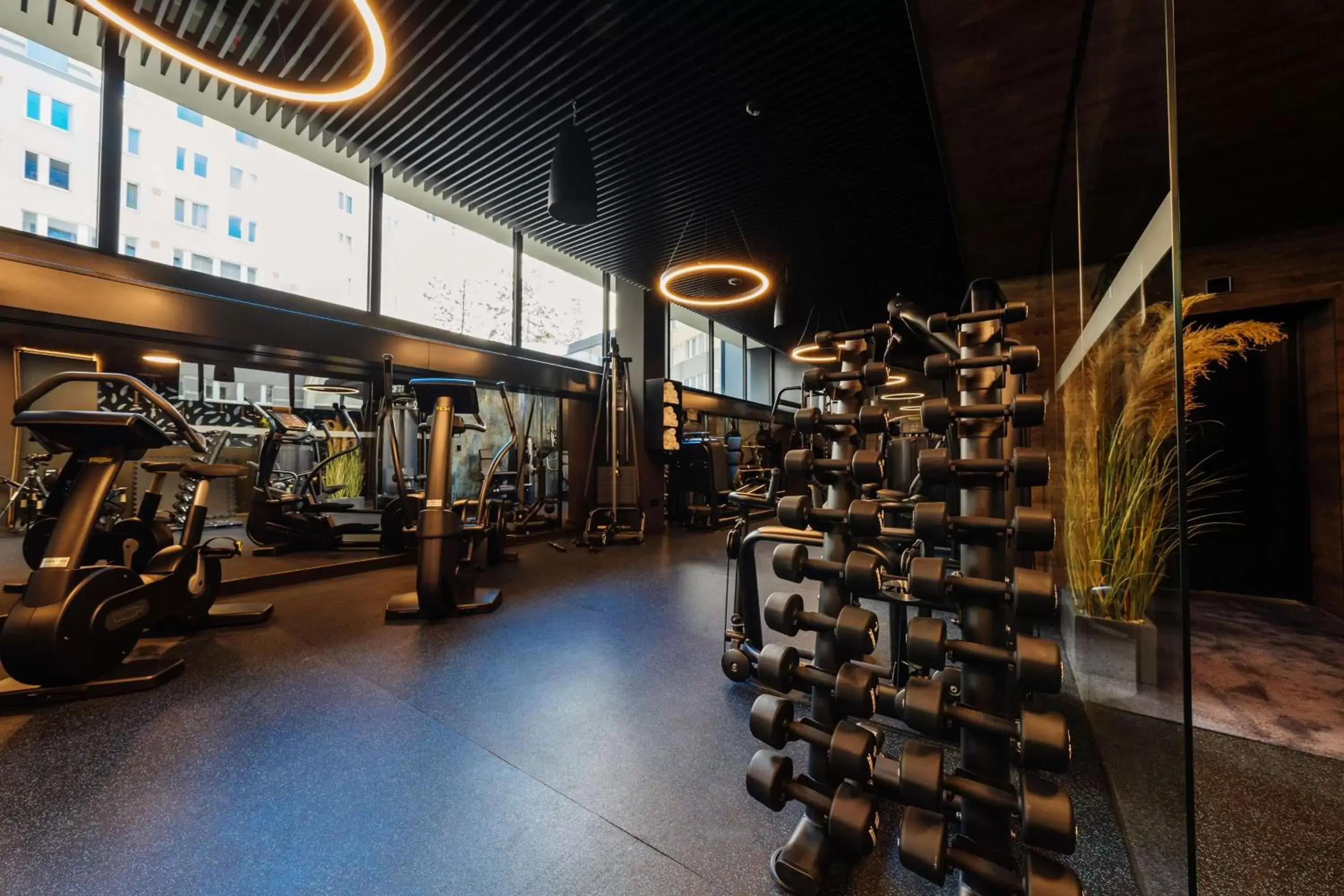 Fitness centre/facilities, Fitness Center/Facilities in Radisson Blu Carlton Hotel, Bratislava