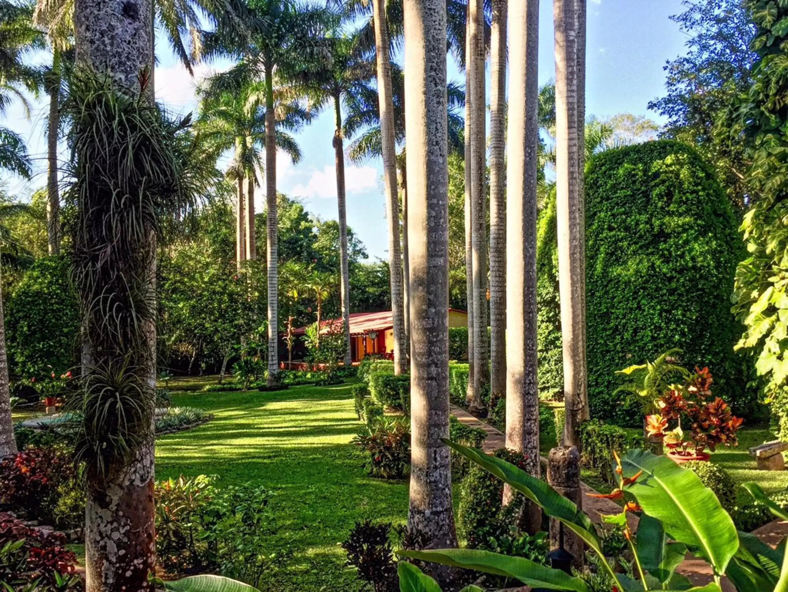 Natural landscape, Garden in Hacienda Chichen Resort and Yaxkin Spa