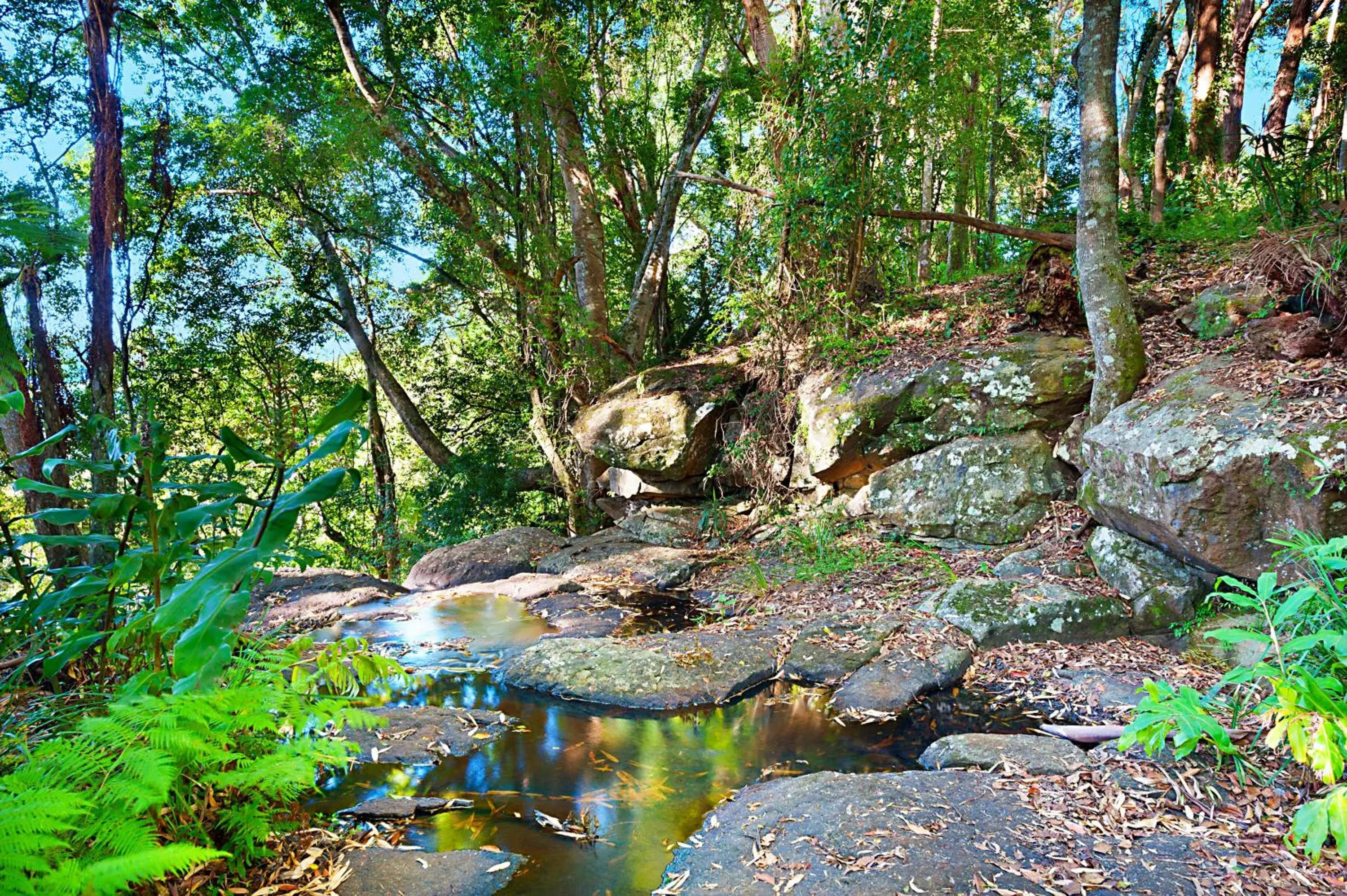 Garden, Natural Landscape in Escarpment Retreat & Day Spa for Couples
