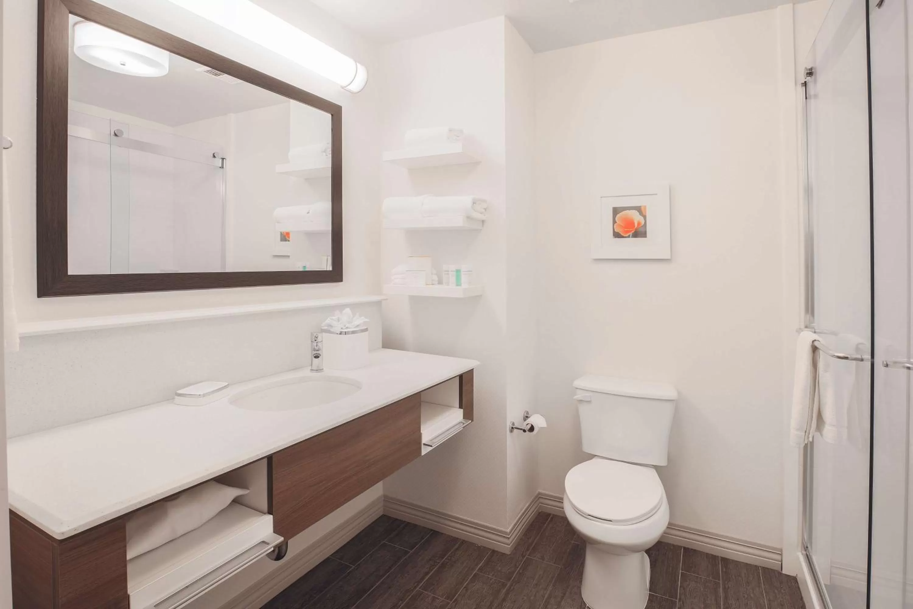 Bathroom in Hampton Inn & Suites Camarillo