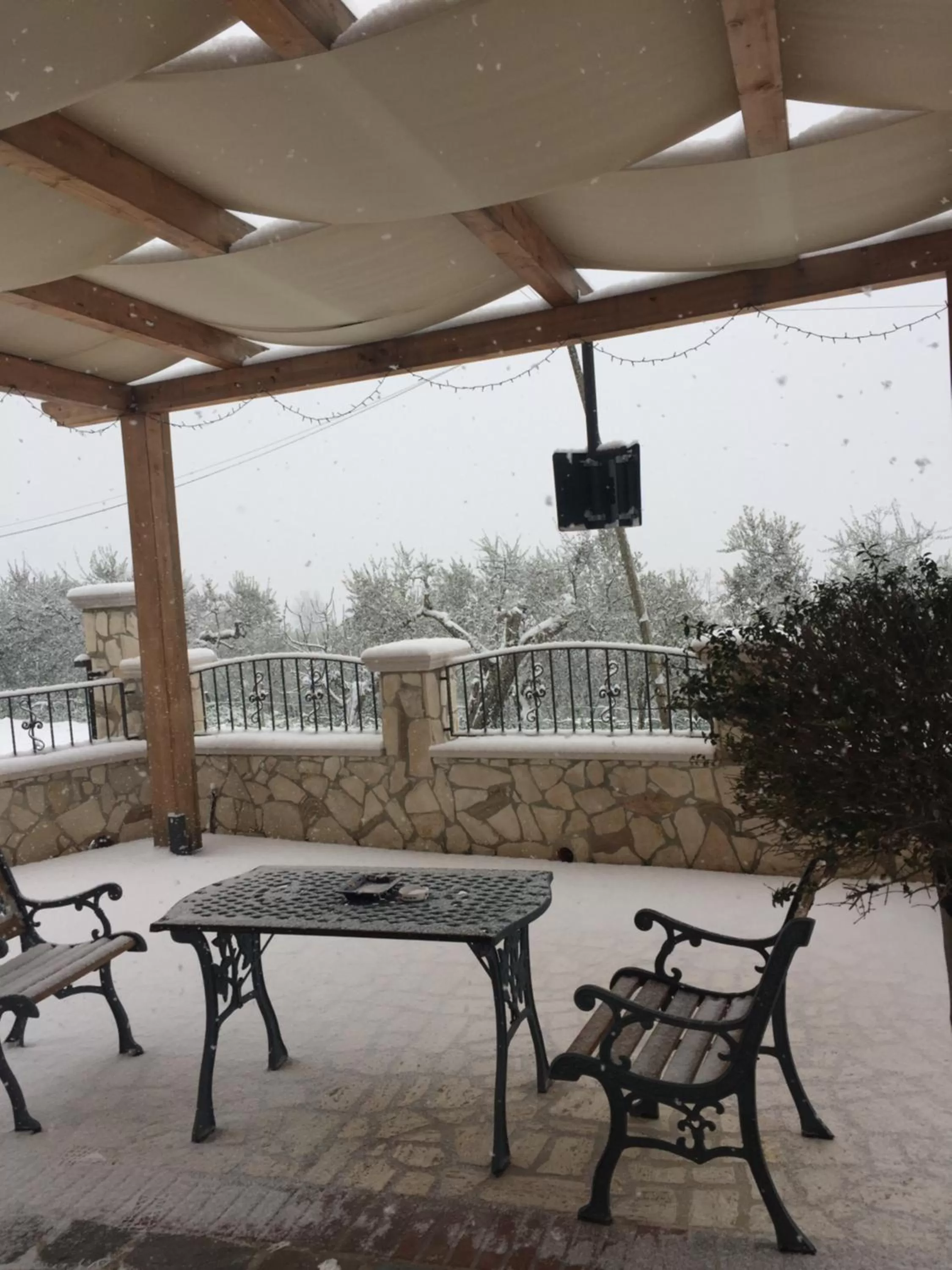 Garden in San Michele