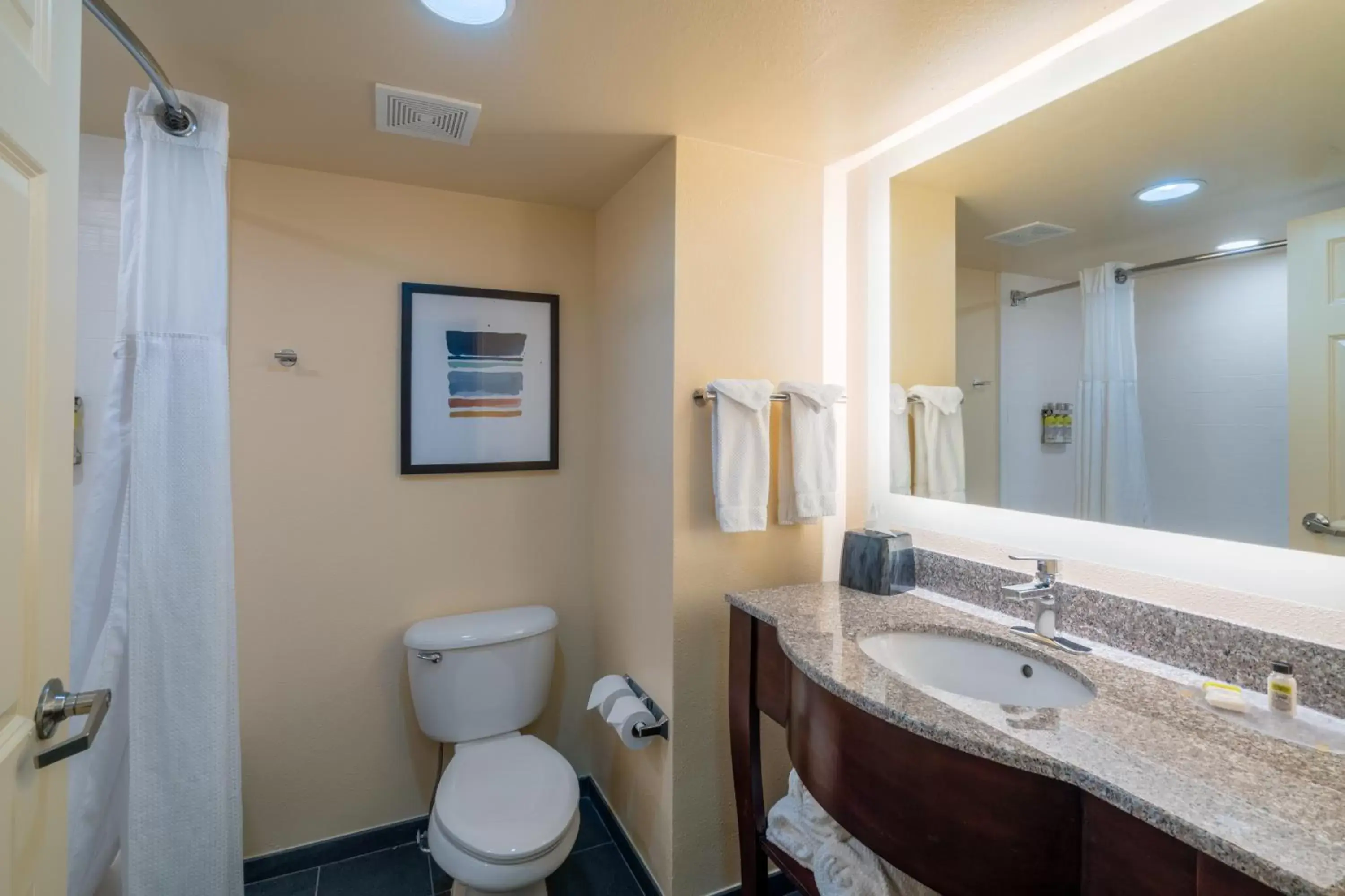 Bathroom in Staybridge Suites Memphis-Poplar Ave East, an IHG Hotel