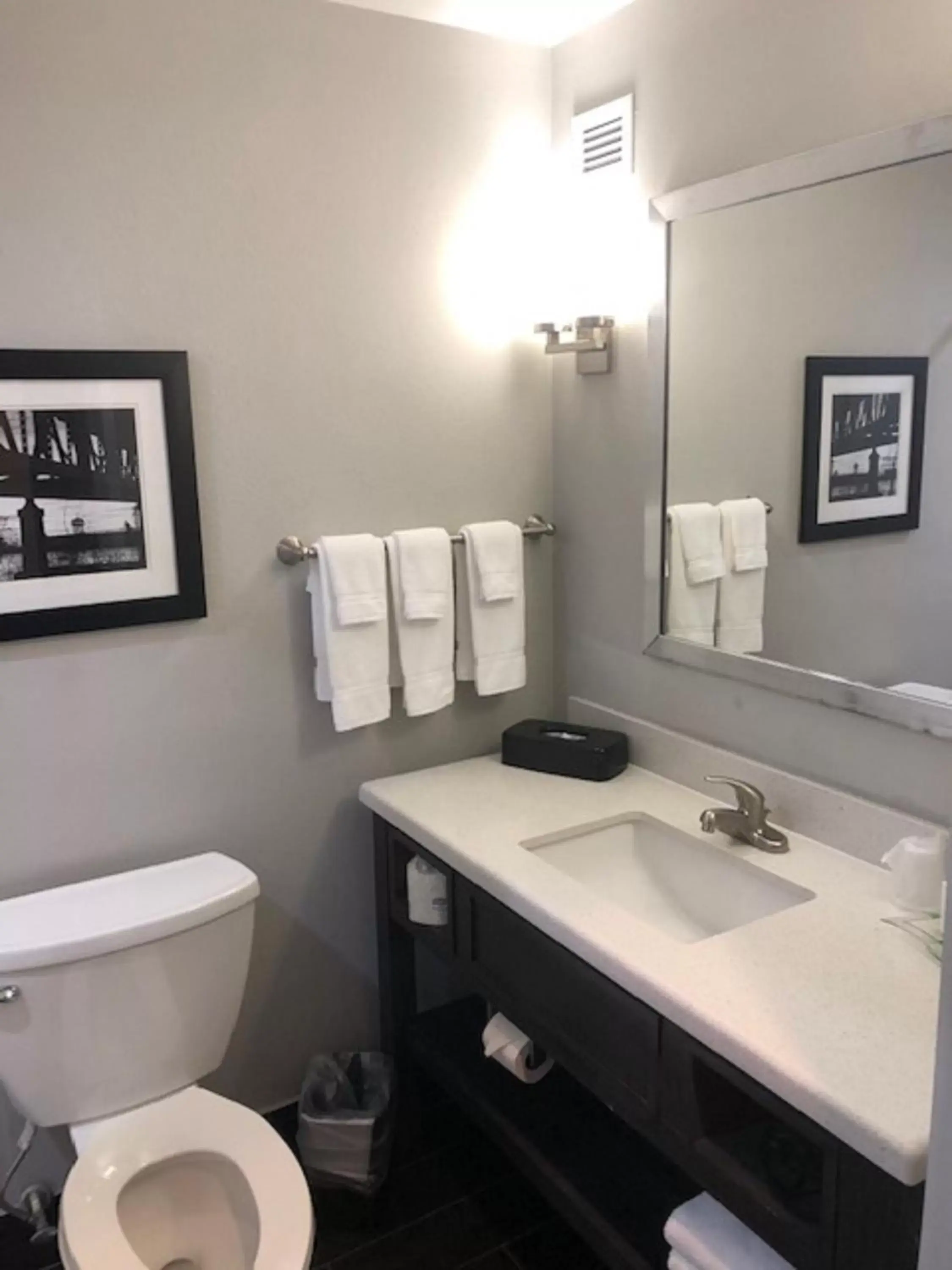 Toilet, Bathroom in Holiday Inn Lafayette North, an IHG Hotel