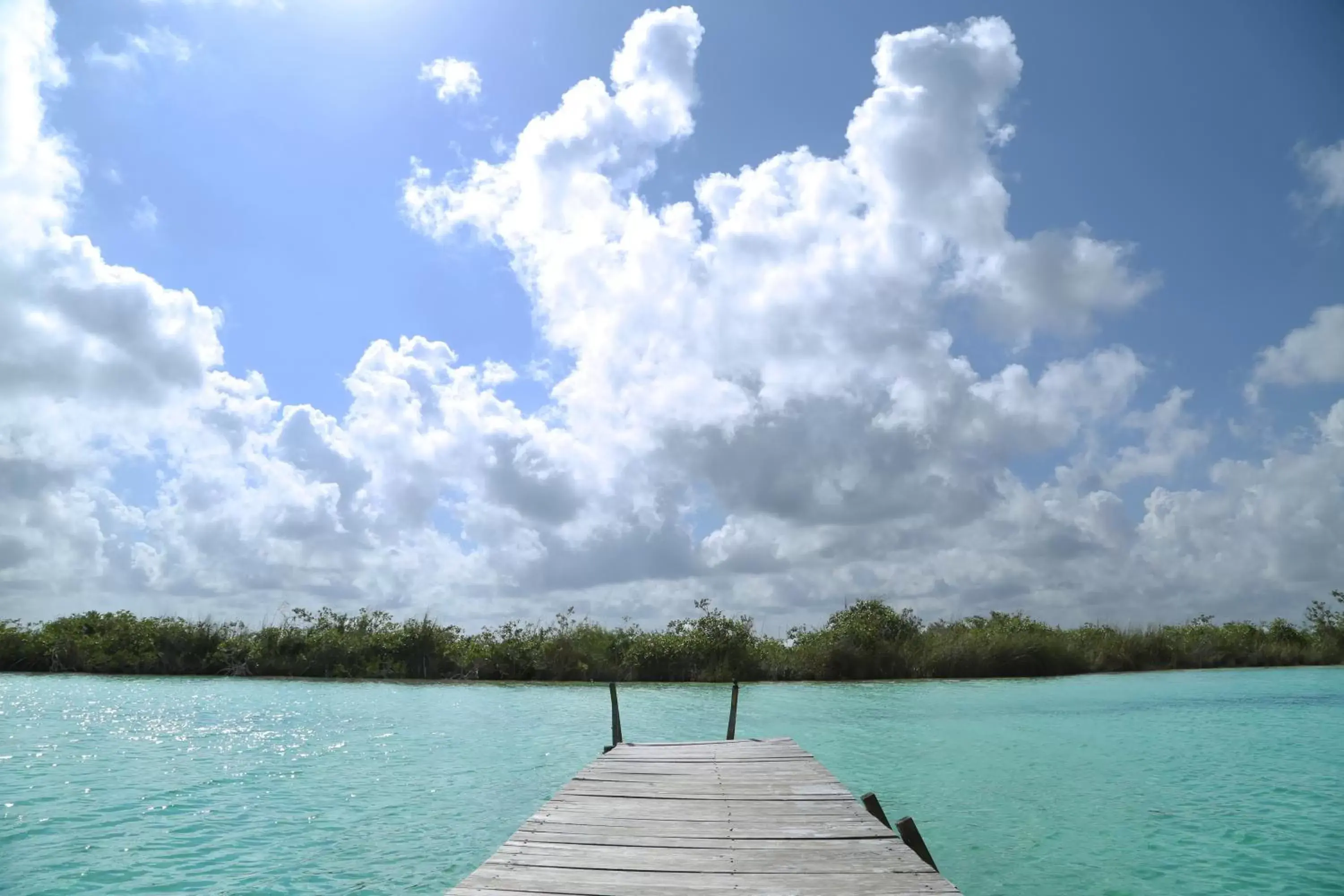 Natural Landscape in Hotel Casa Corazón