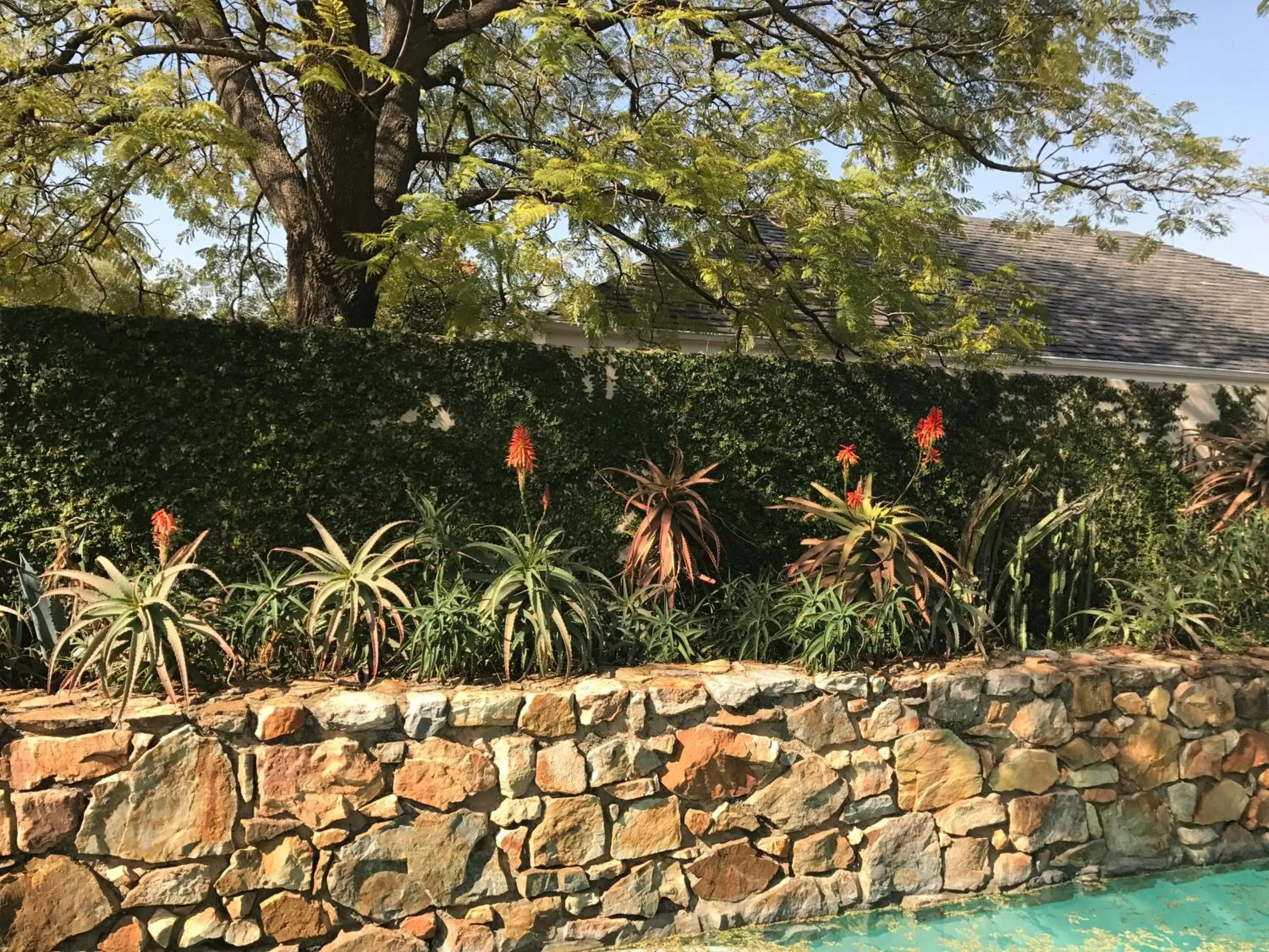 Garden in Parkwood Boutique Hotel