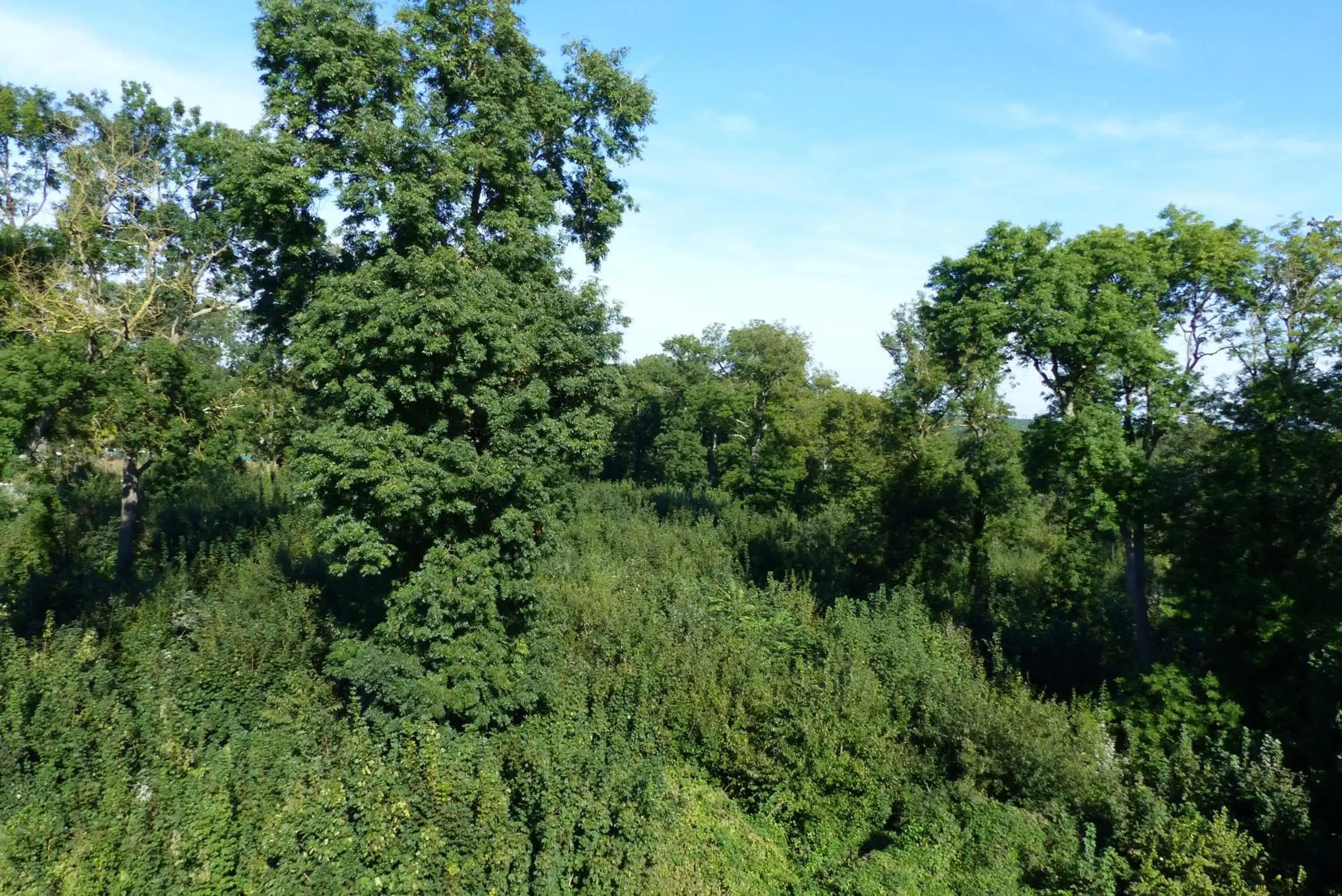 View (from property/room) in ibis Paris Meudon Velizy View (from property/room) in ibis Paris Meudon Velizy