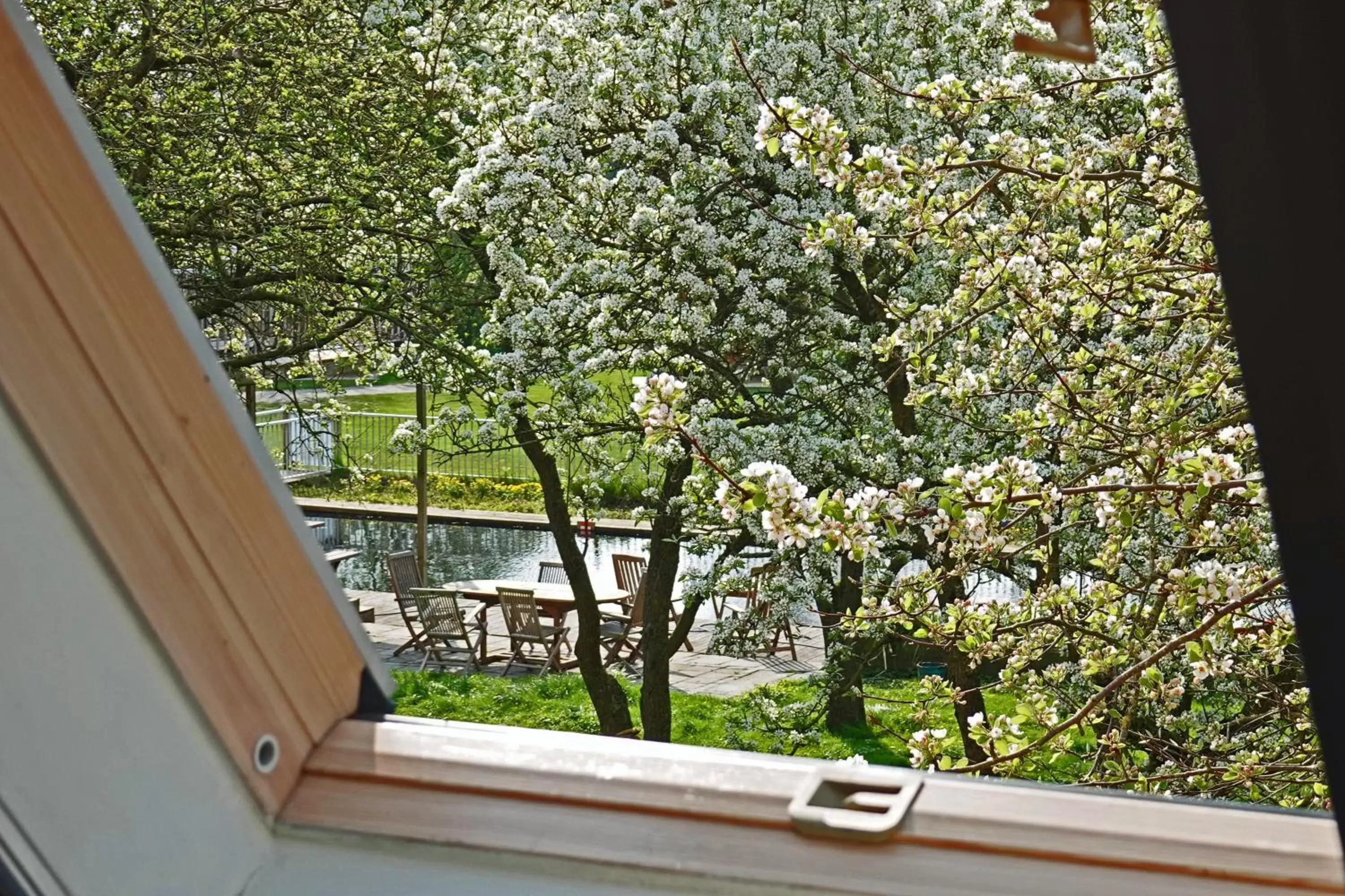 Garden view, View in B&B Welgelegen