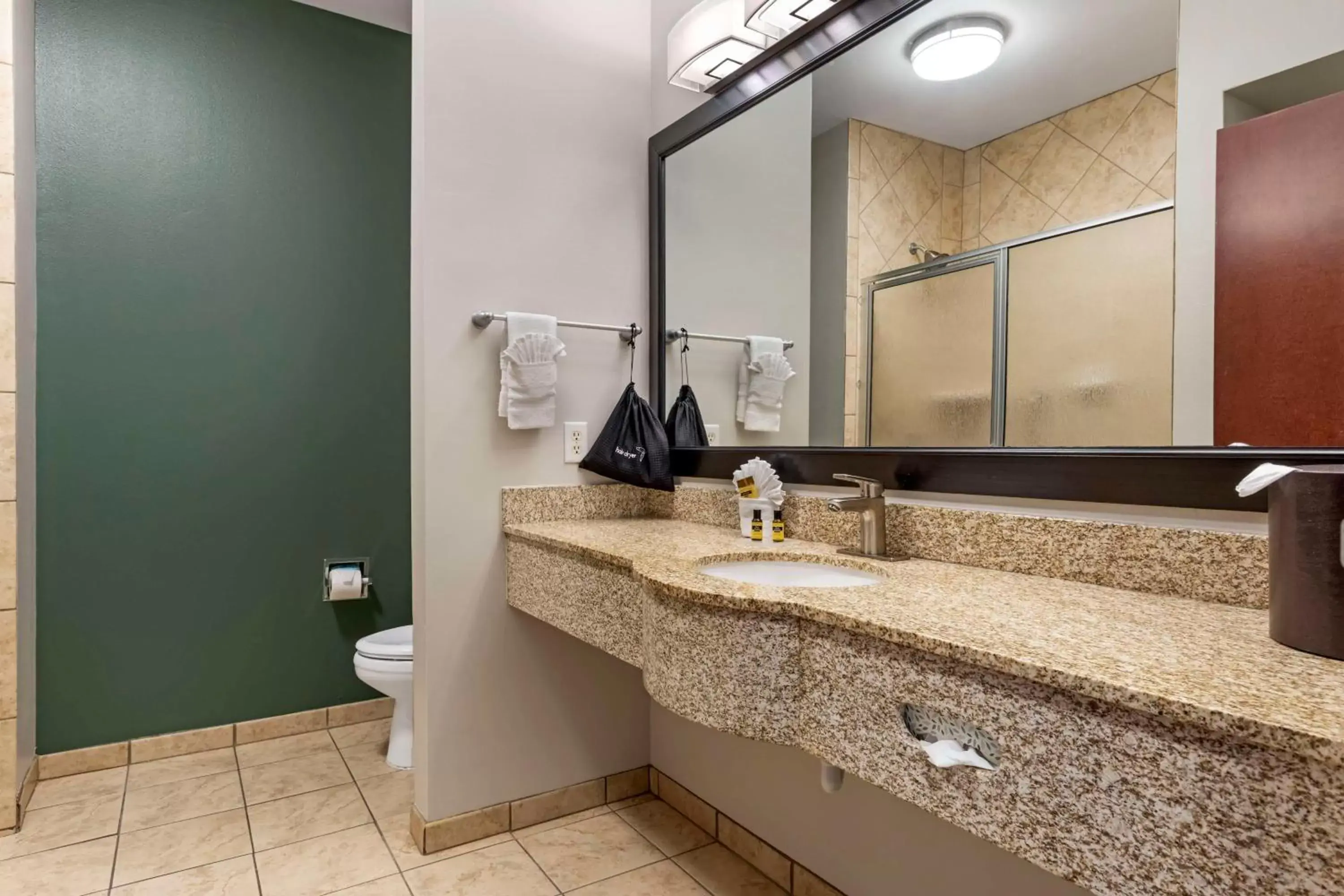 Bathroom in Best Western Plus Duncanville/Dallas