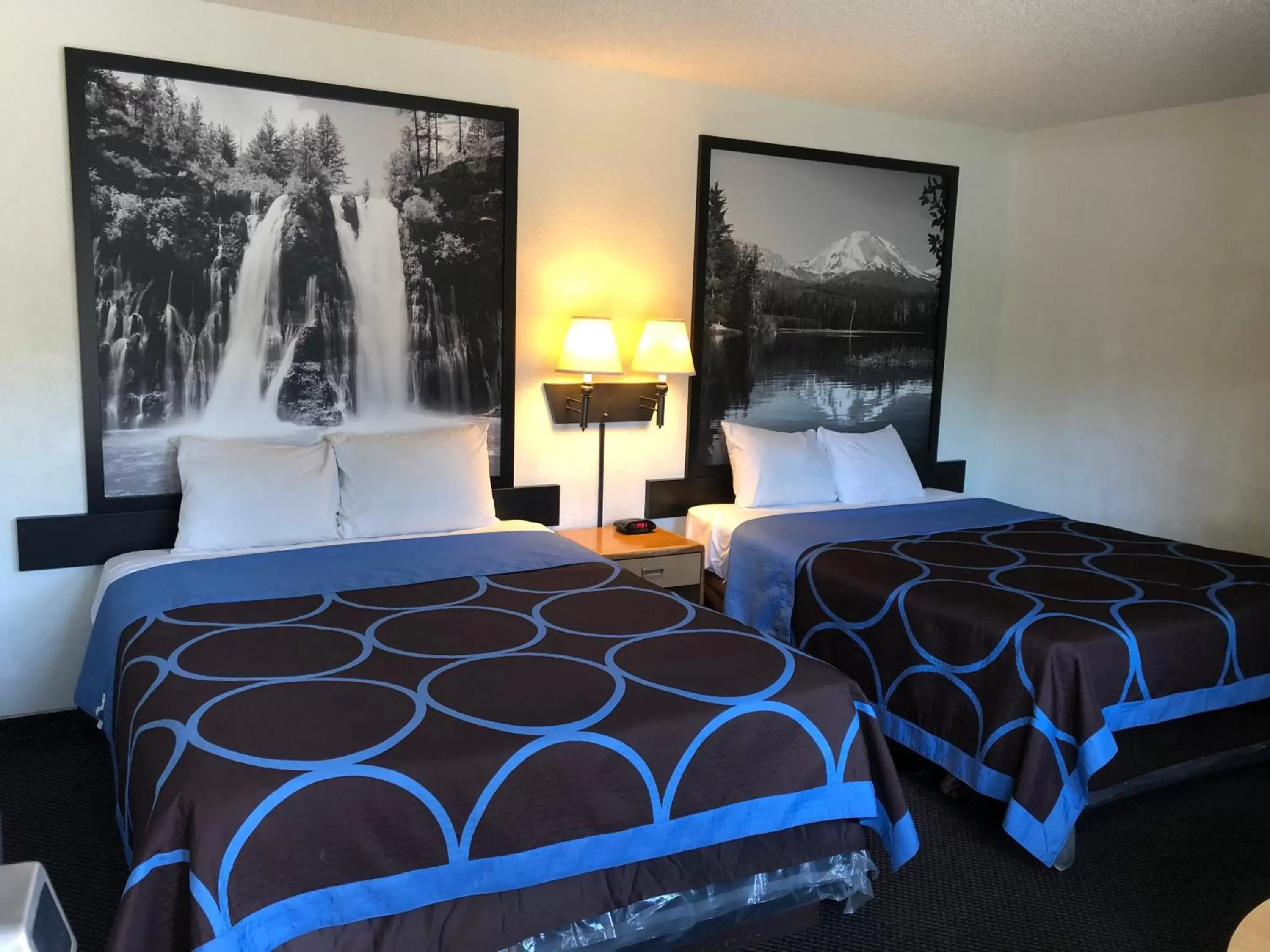 Photo of the whole room, Bed in Super 8 by Wyndham Red Bluff