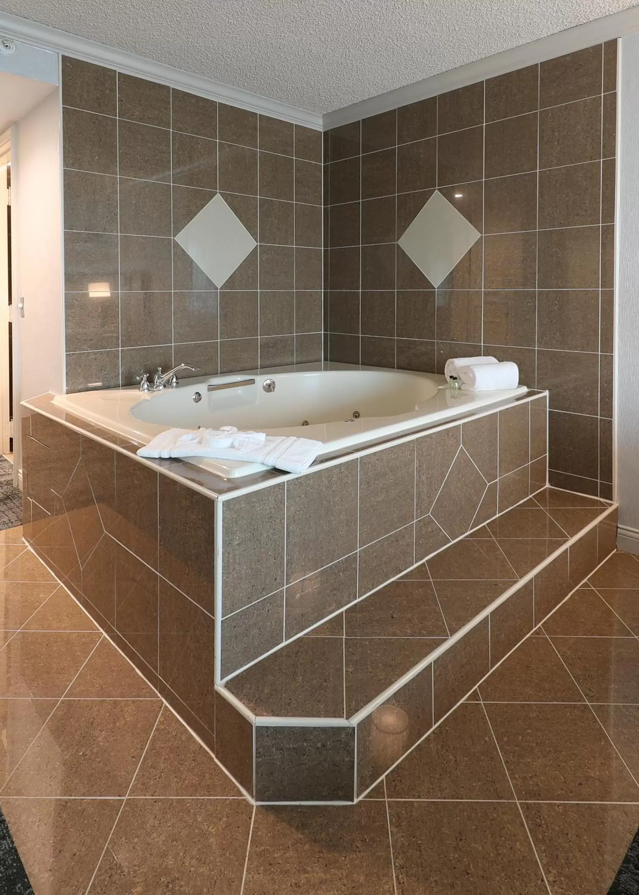 Bath, Bathroom in Crowne Plaza Chicago-Northbrook, an IHG Hotel
