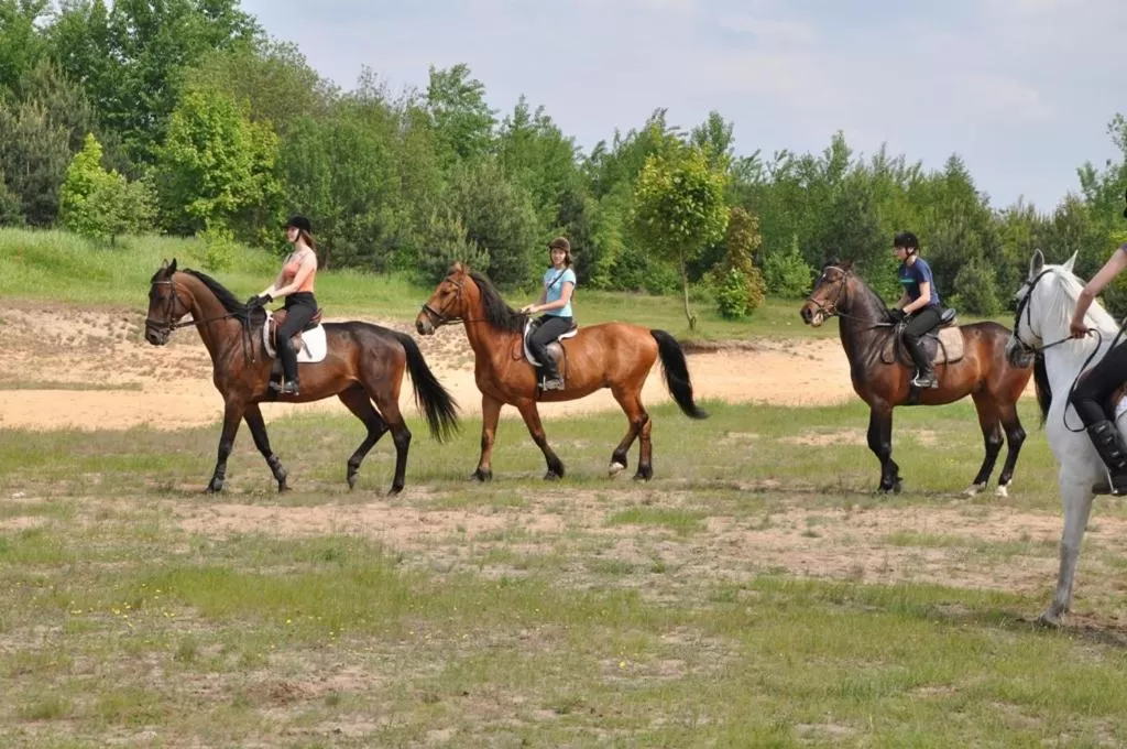 Horseback Riding in Stajnia pod Dębem