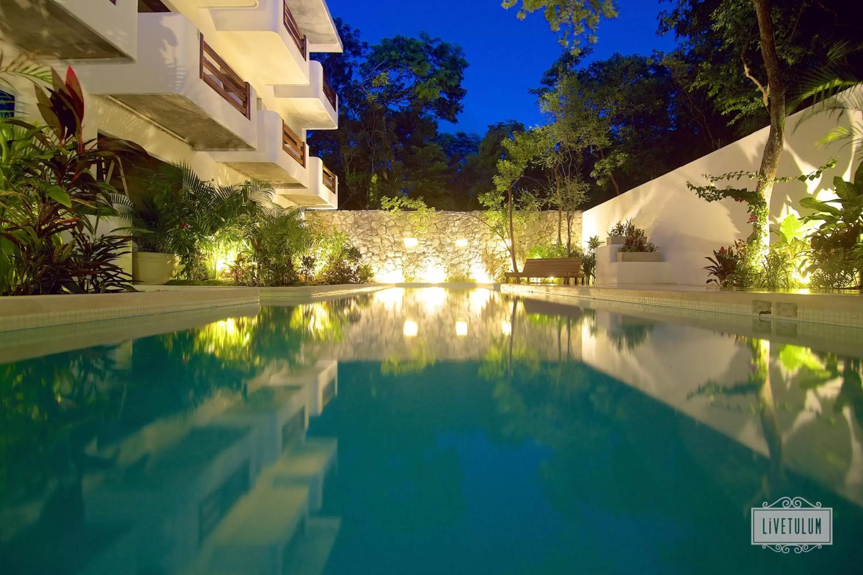 Swimming Pool in LiveTulum