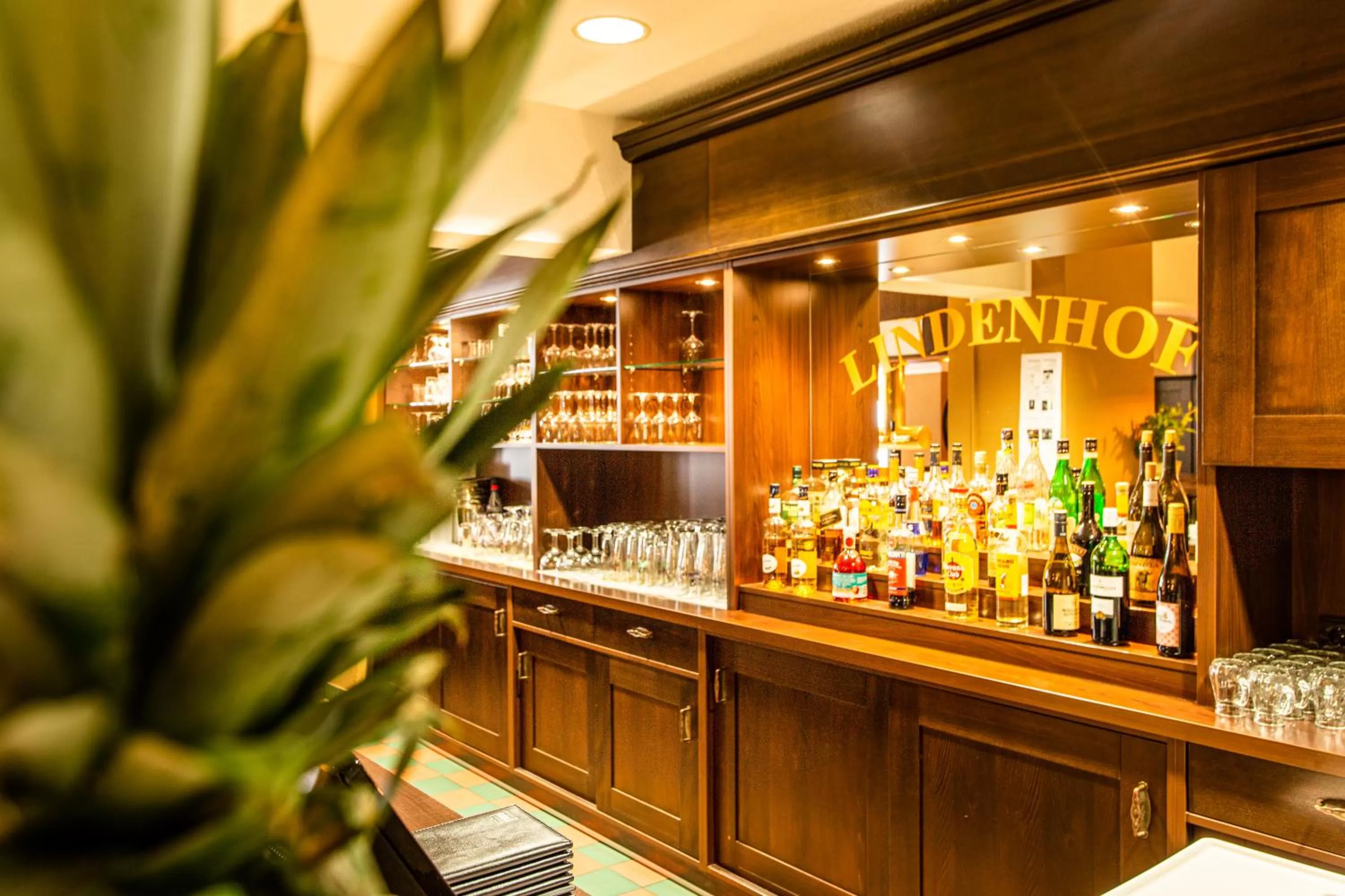 Lounge or bar in Hotel Lindenhof Bad Schandau