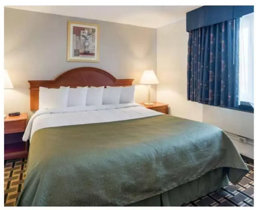Bedroom, Bed in Quality Inn Bedroom, Bed in Quality Inn