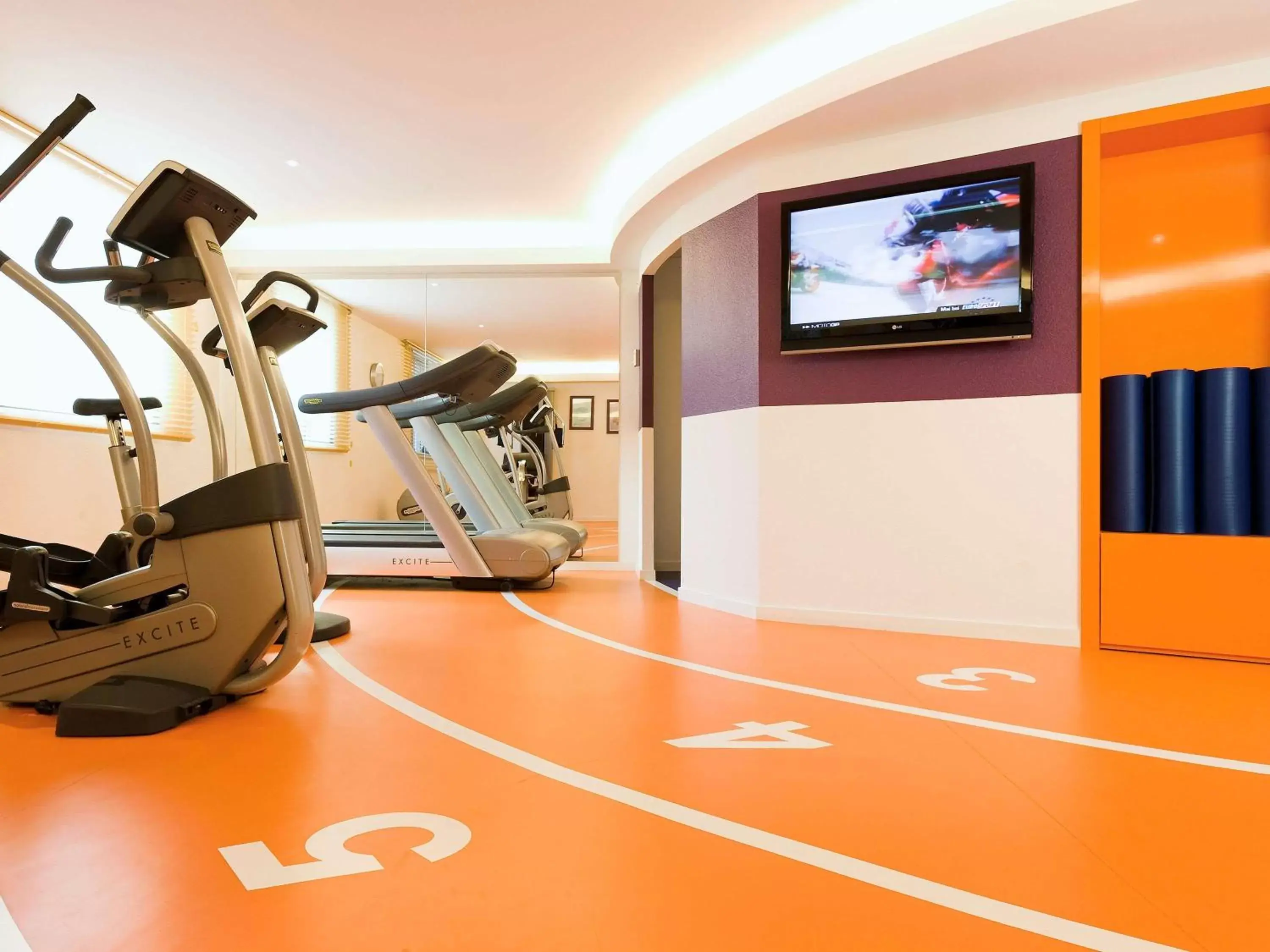 Fitness centre/facilities, Fitness Center/Facilities in Novotel Grenoble Centre