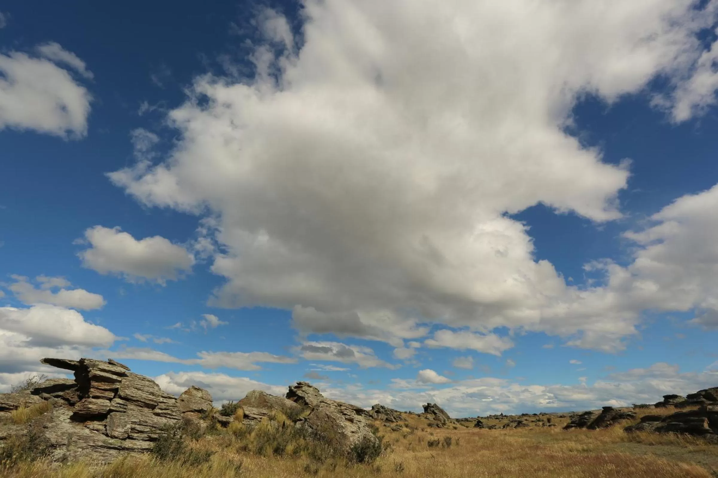 Area and facilities in Amross Motel