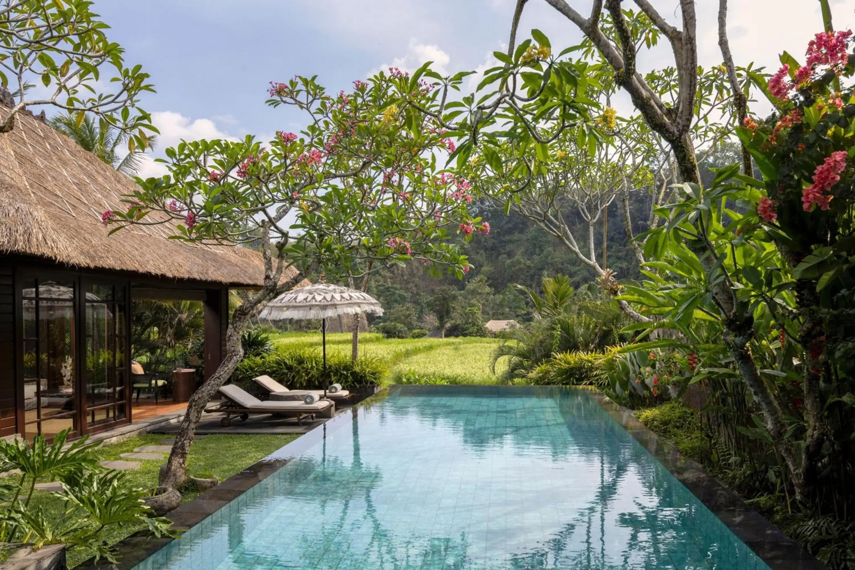 Swimming Pool in Mandapa A Ritz-Carlton Reserve