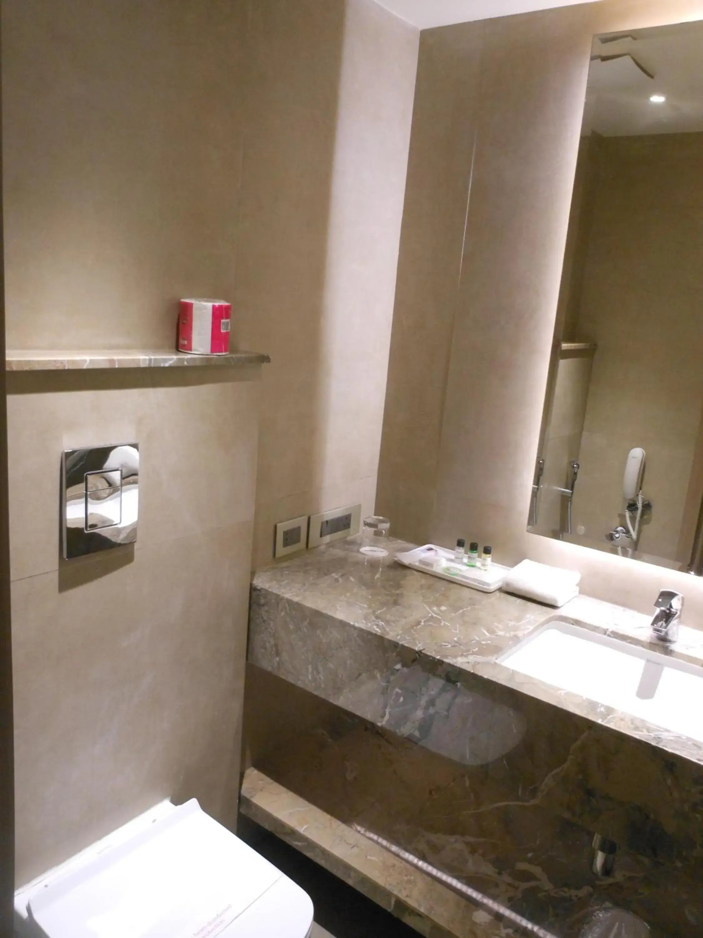 Bathroom in Hotel Saket 27