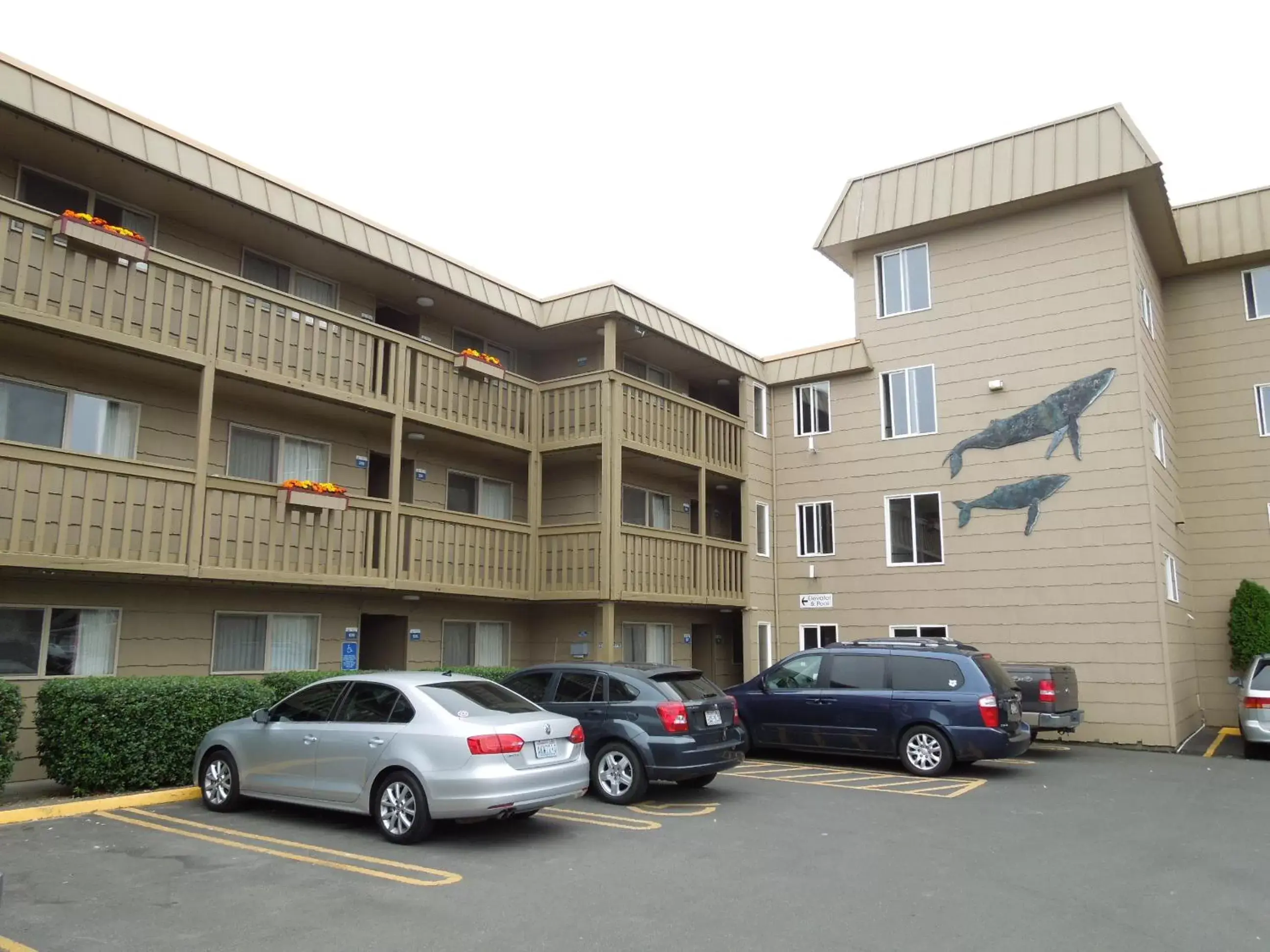 Facade/entrance, Property Building in Ebb Tide Oceanfront Inn