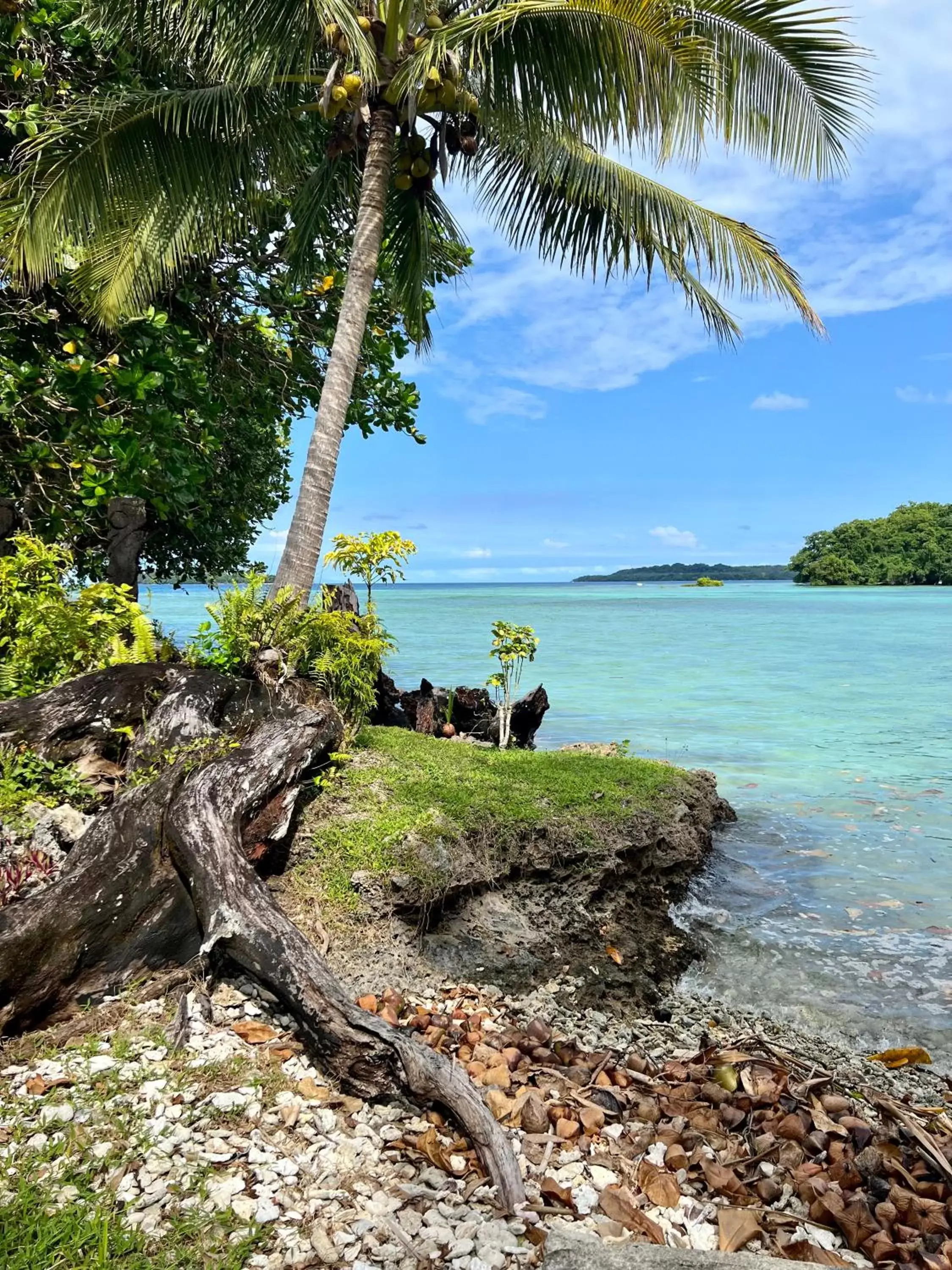 Natural landscape, Beach in Turtle Bay Lodge