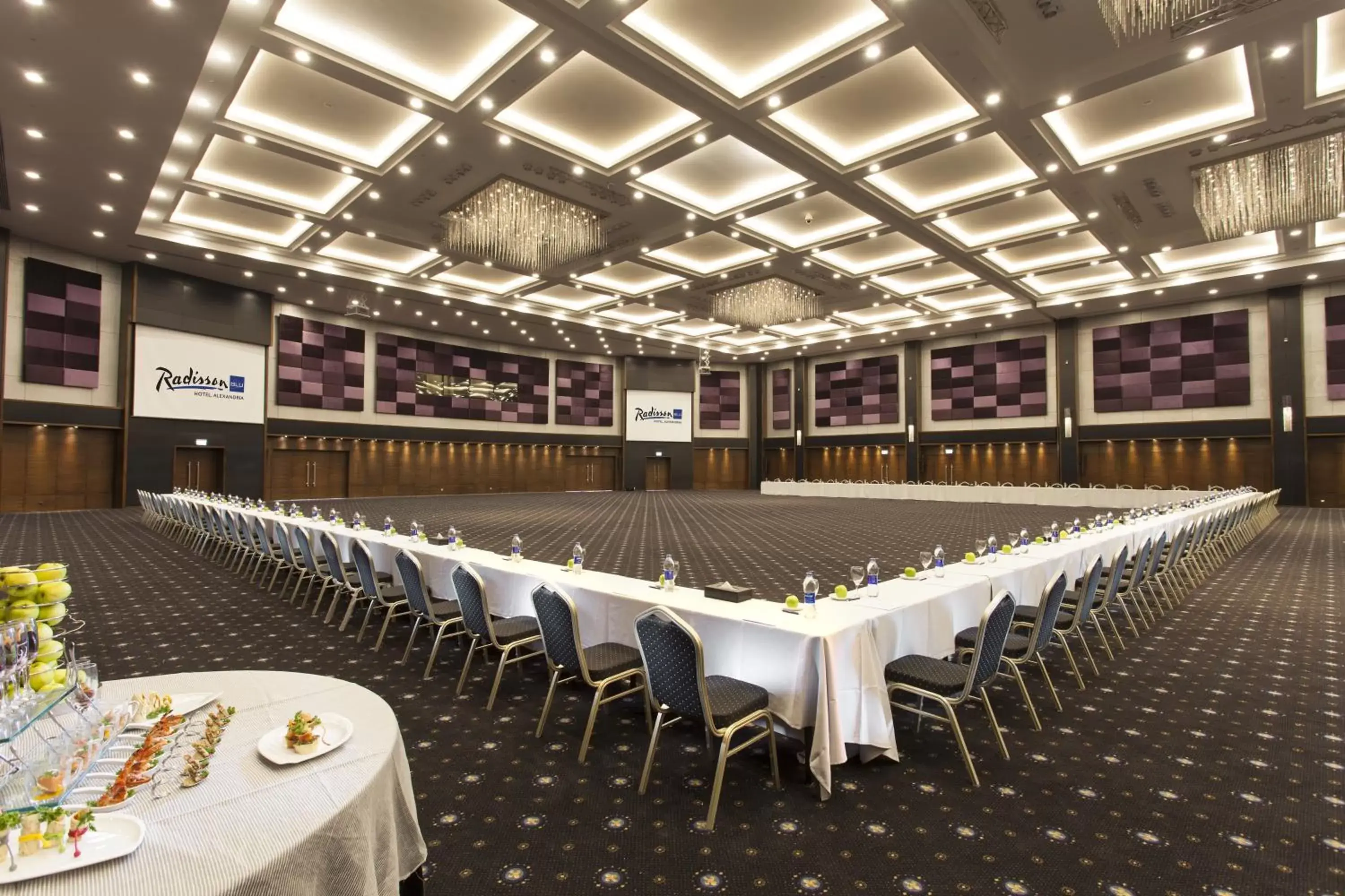 Meeting/conference room in Radisson Blu Hotel Alexandria