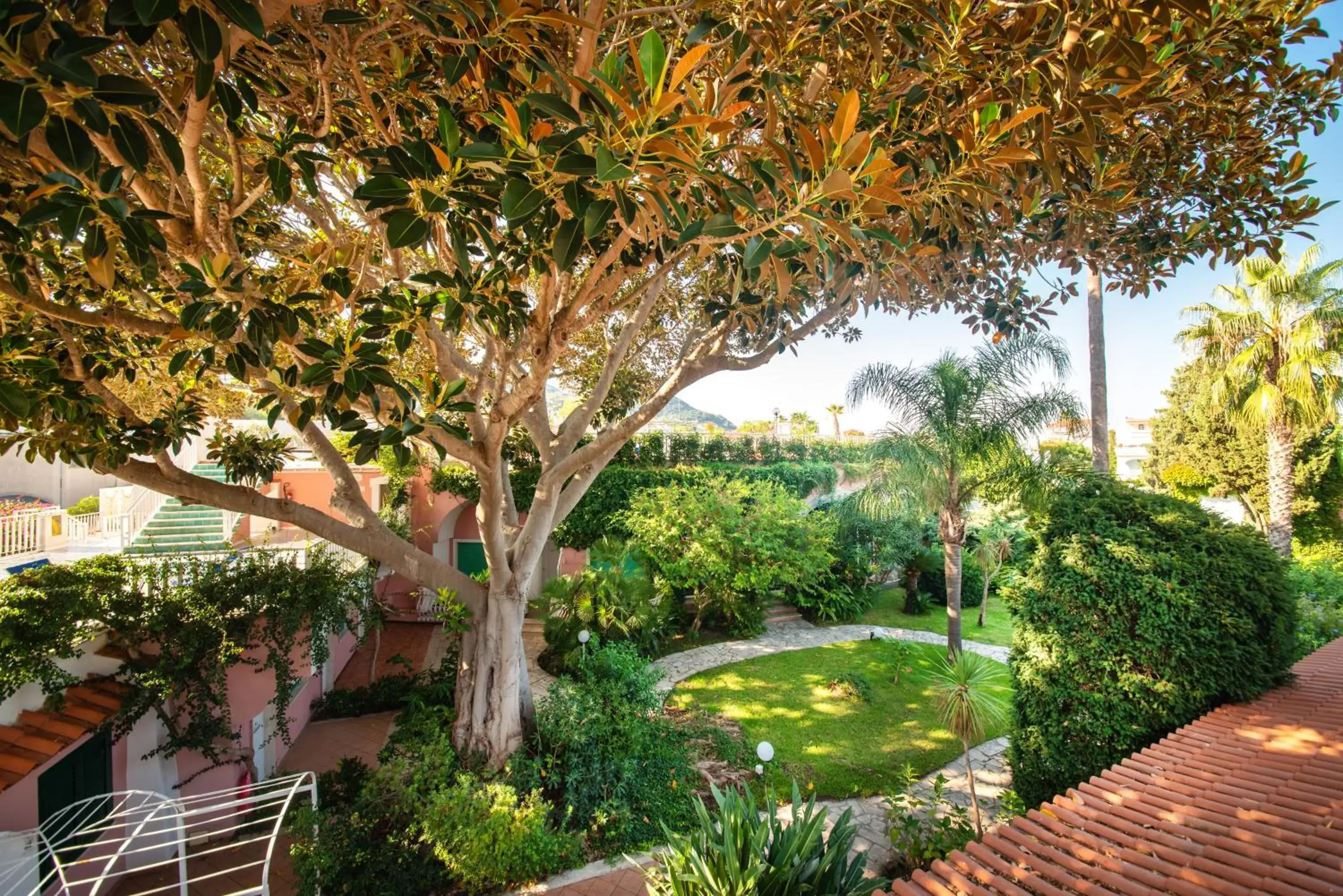 Garden in Hotel Continental Ischia