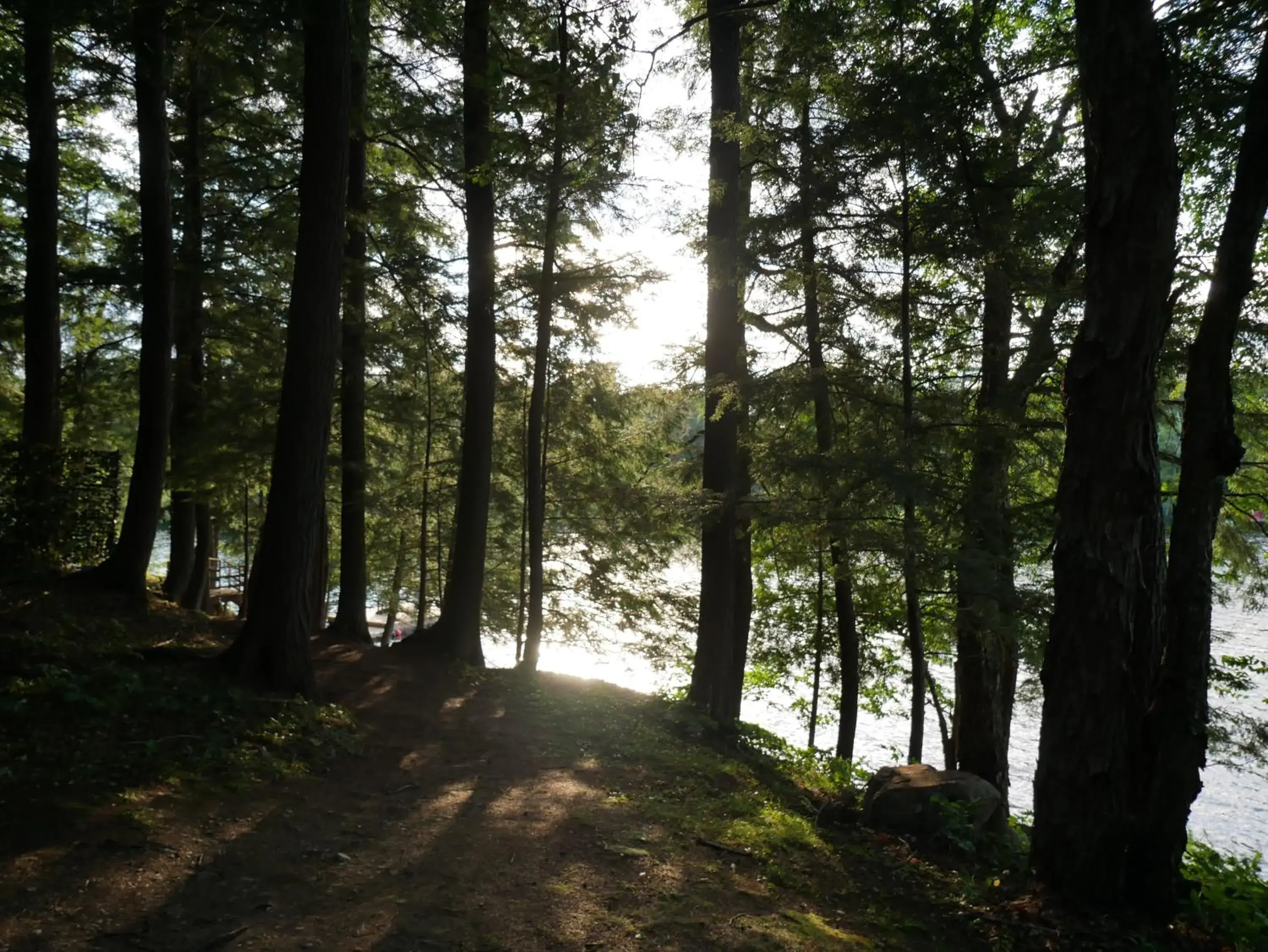 Natural Landscape in Walker Lake Resort