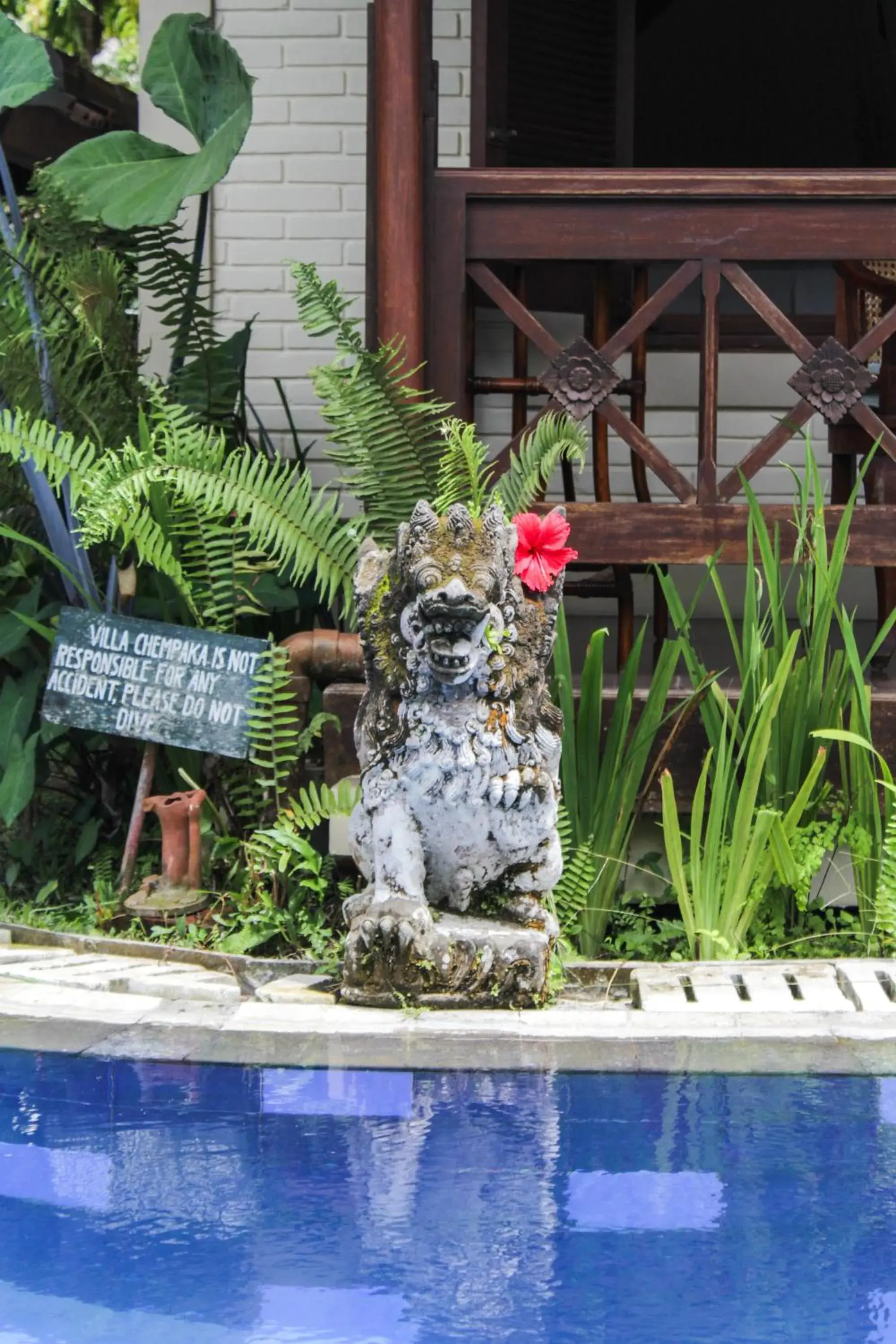 Swimming Pool in Villa Chempaka Hotel