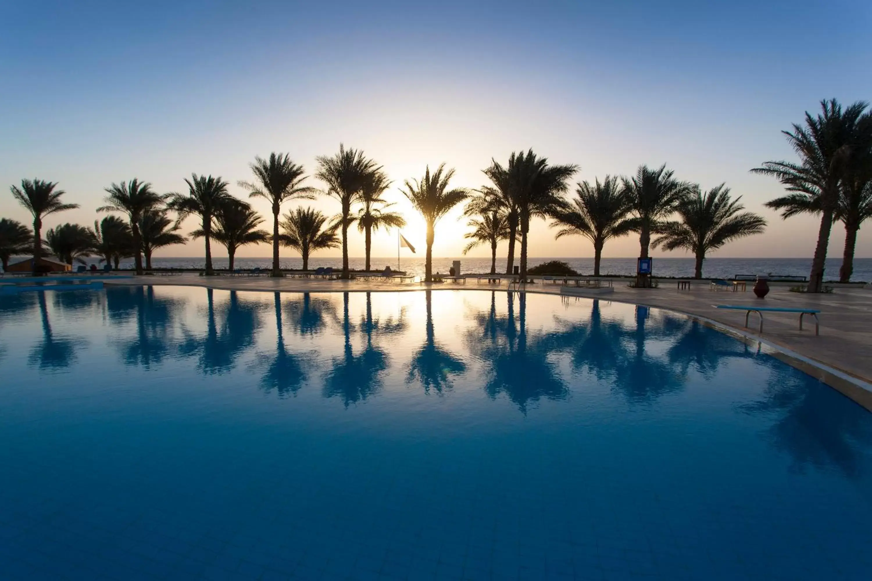 Beach, Swimming Pool in Sharm Club Beach Resort