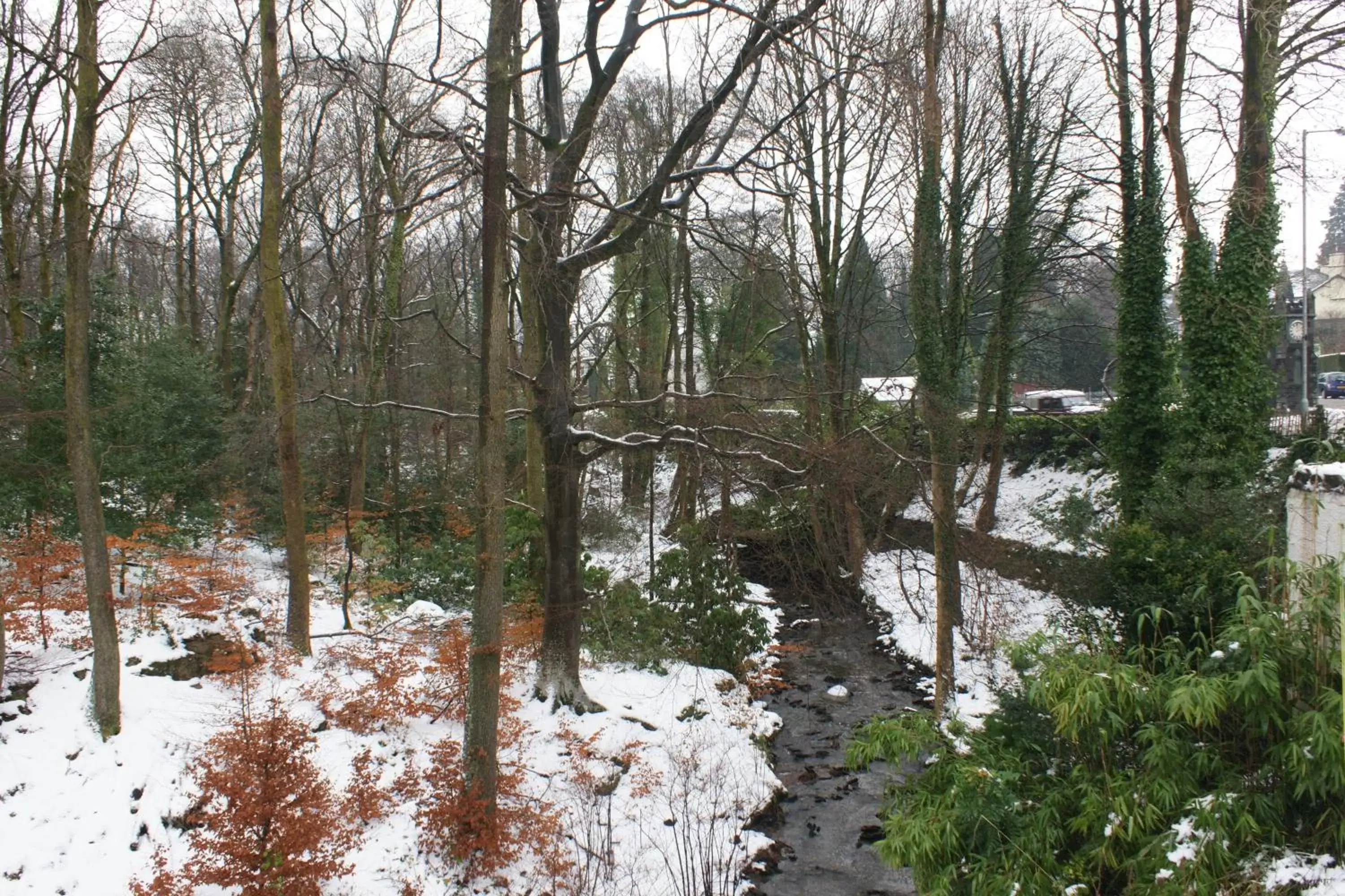 Natural landscape, Winter in Glencree