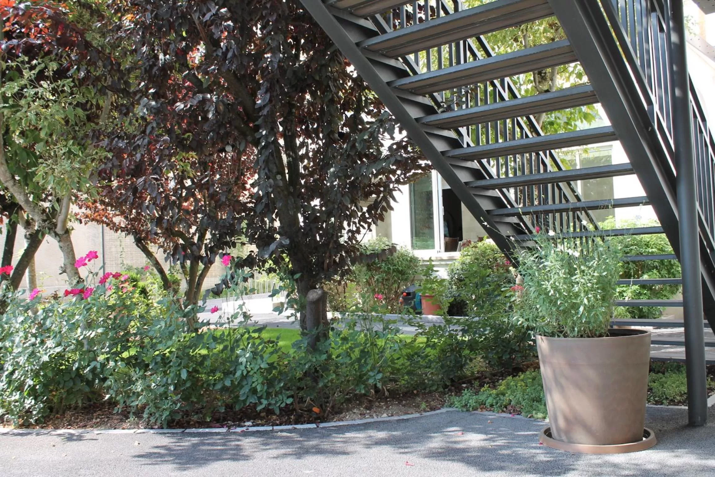 Garden in Hôtel jardin Le Pasteur