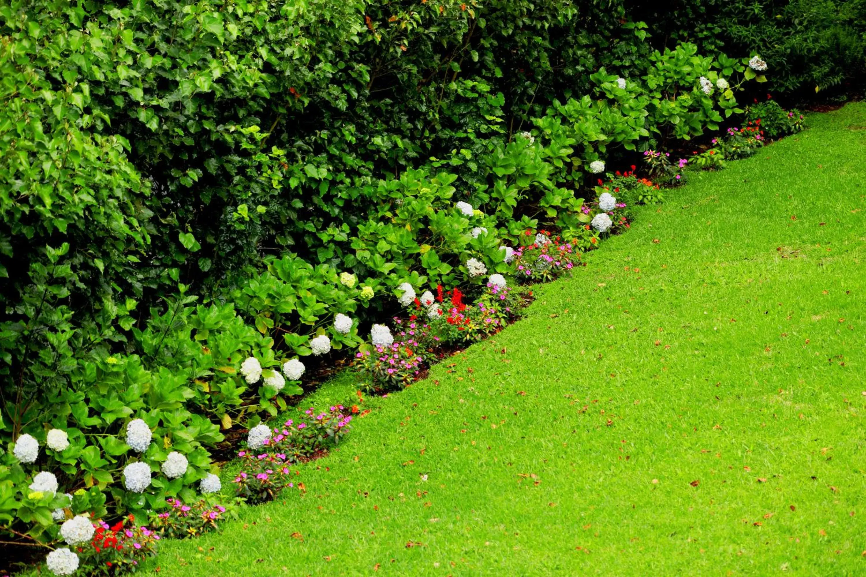 Garden in Trapp Family Lodge Monteverde