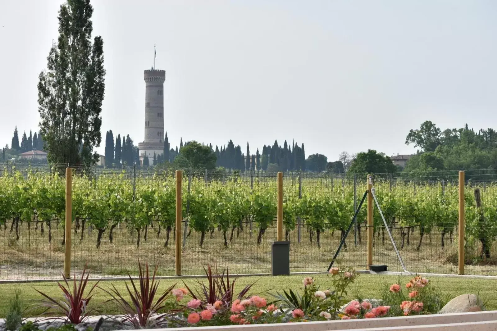 Nearby landmark in B&B Il Vigneto