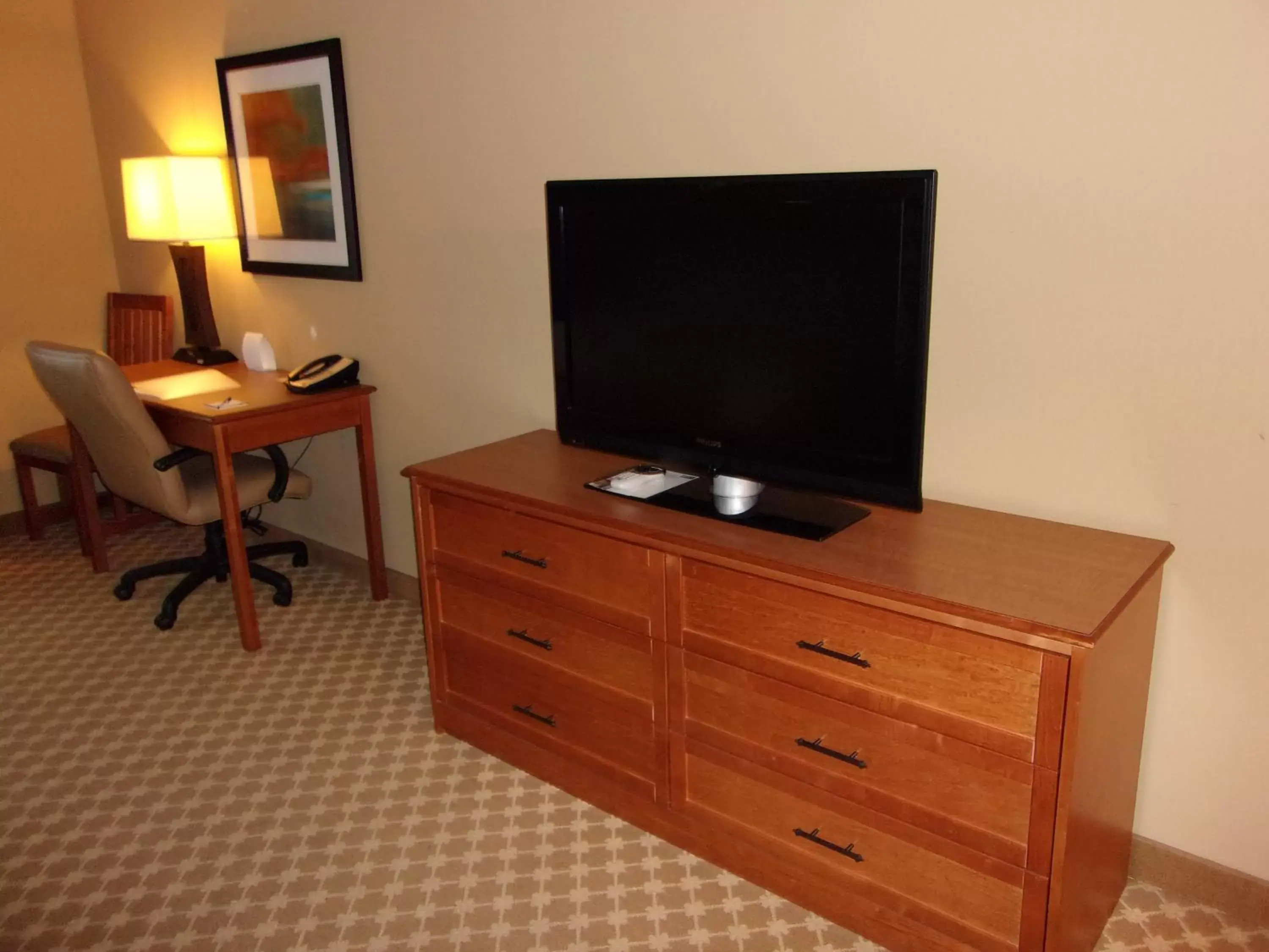 TV and multimedia, TV/Entertainment Center in Holiday Inn Express Hotel & Suites Chicago West Roselle, an IHG Hotel